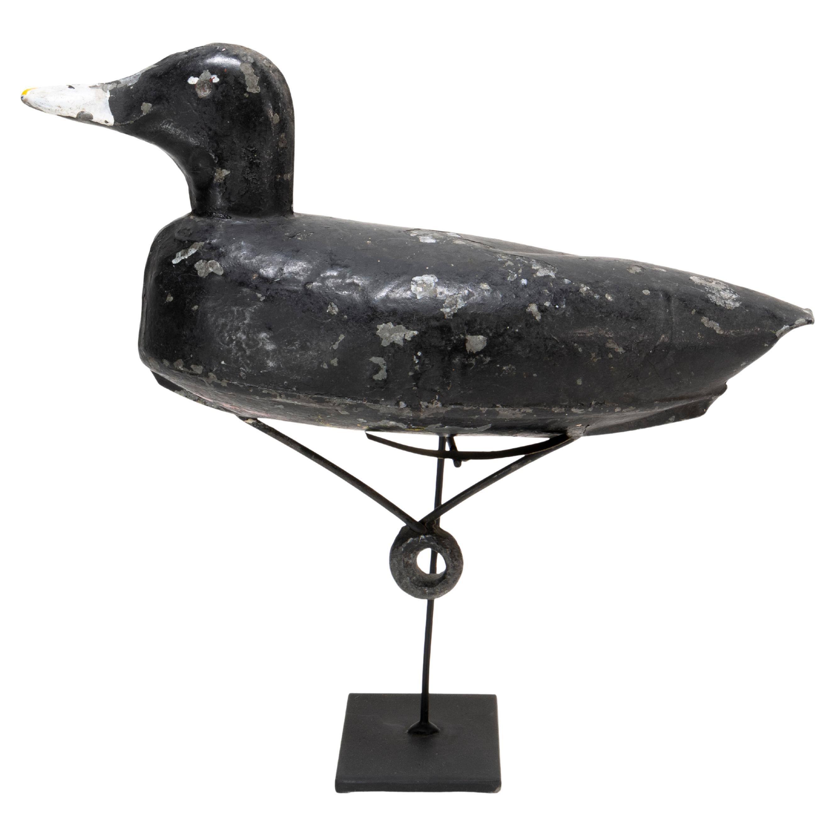 Antique Tiny Coot Decoy, circa 1900 For Sale