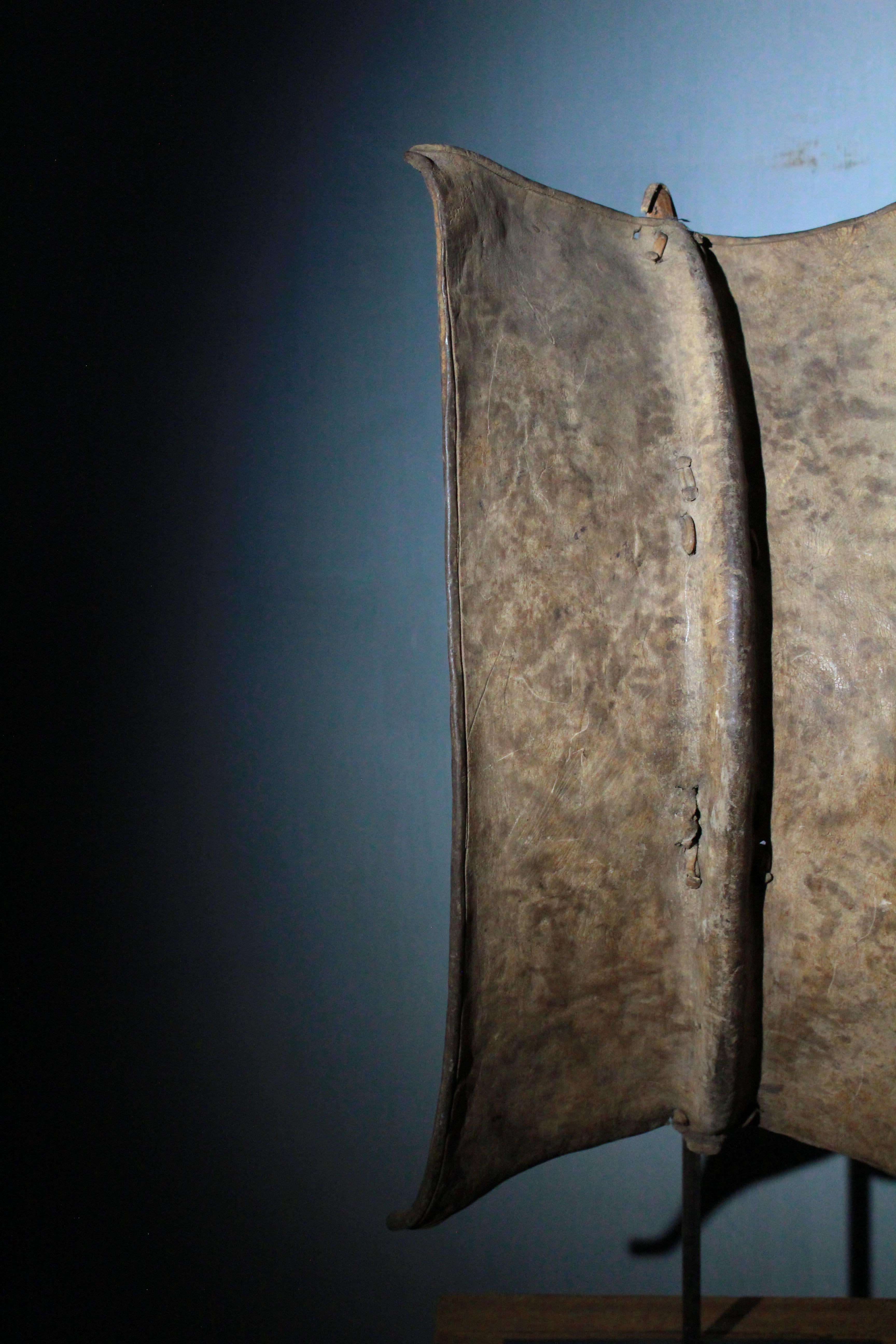 Antiker Toposa-Schild im Angebot 3