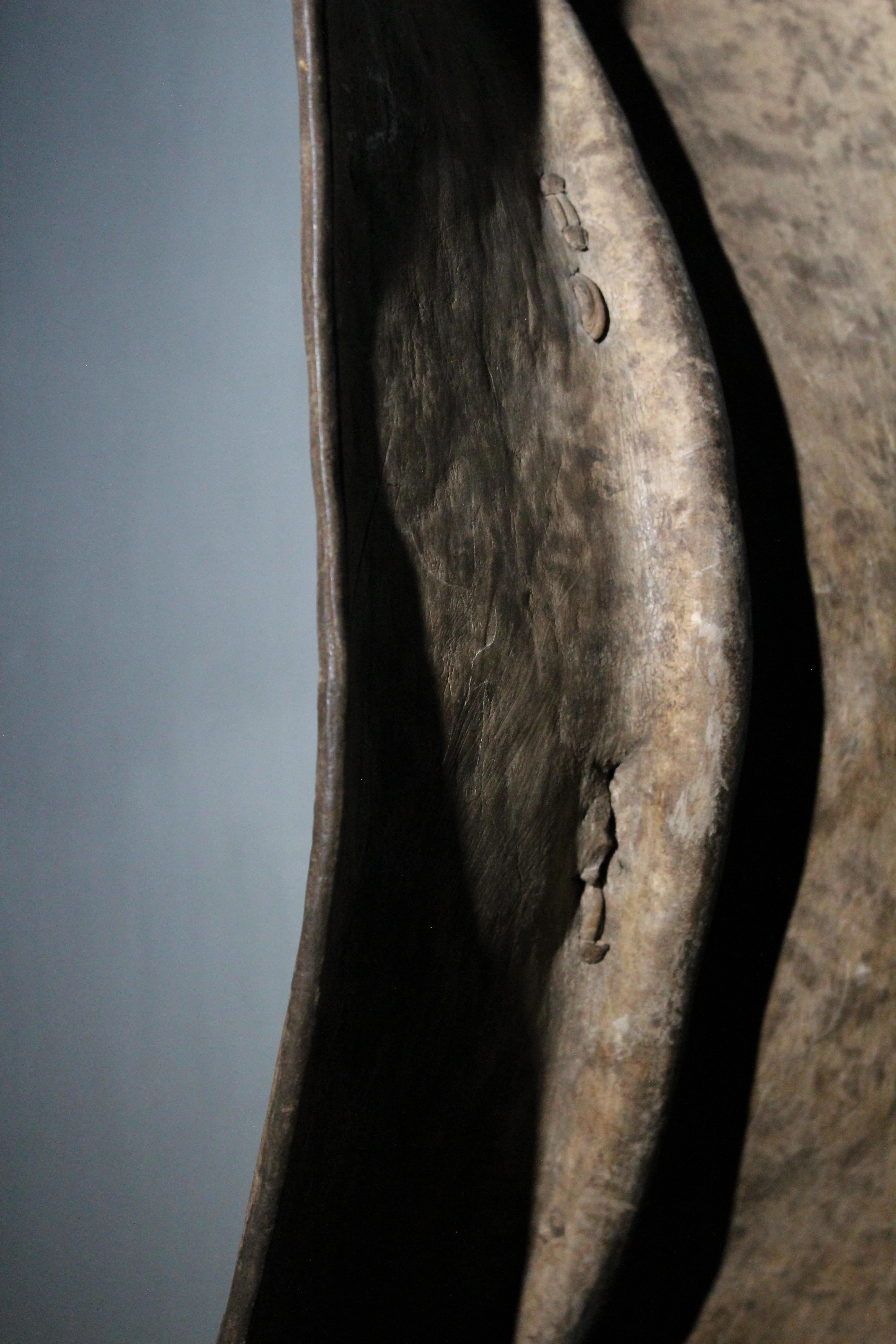 Schöner Toposa-Schild aus dem frühen 20. Jahrhundert, aus Leder und Holz. Sie stammen aus einer Pariser Privatsammlung und sind auf einem speziell angefertigten Metalldisplay montiert. Ein Toposa-Schild ist eine traditionelle Waffe, die von den