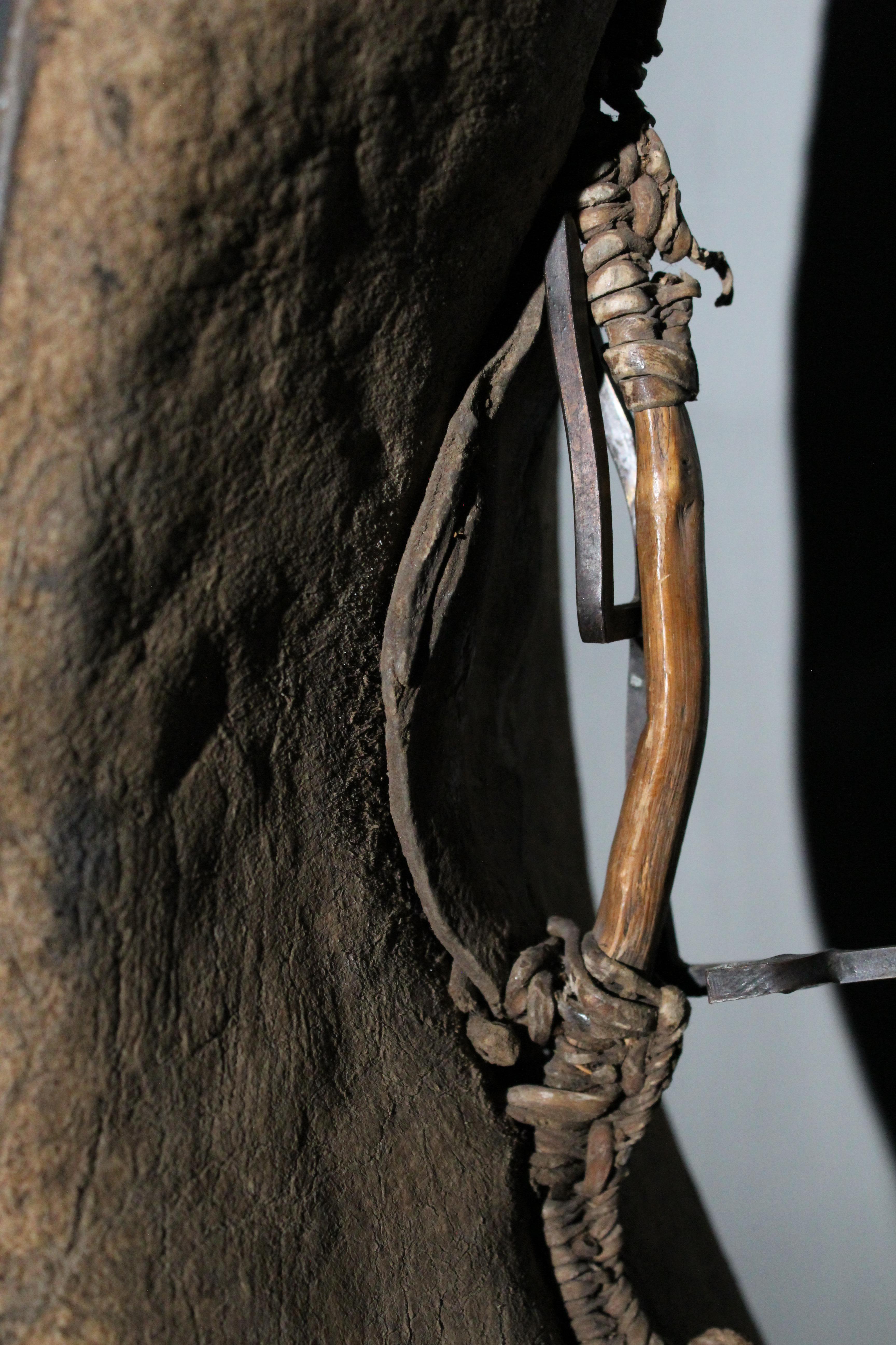 Antiker Toposa-Schild (19. Jahrhundert) im Angebot