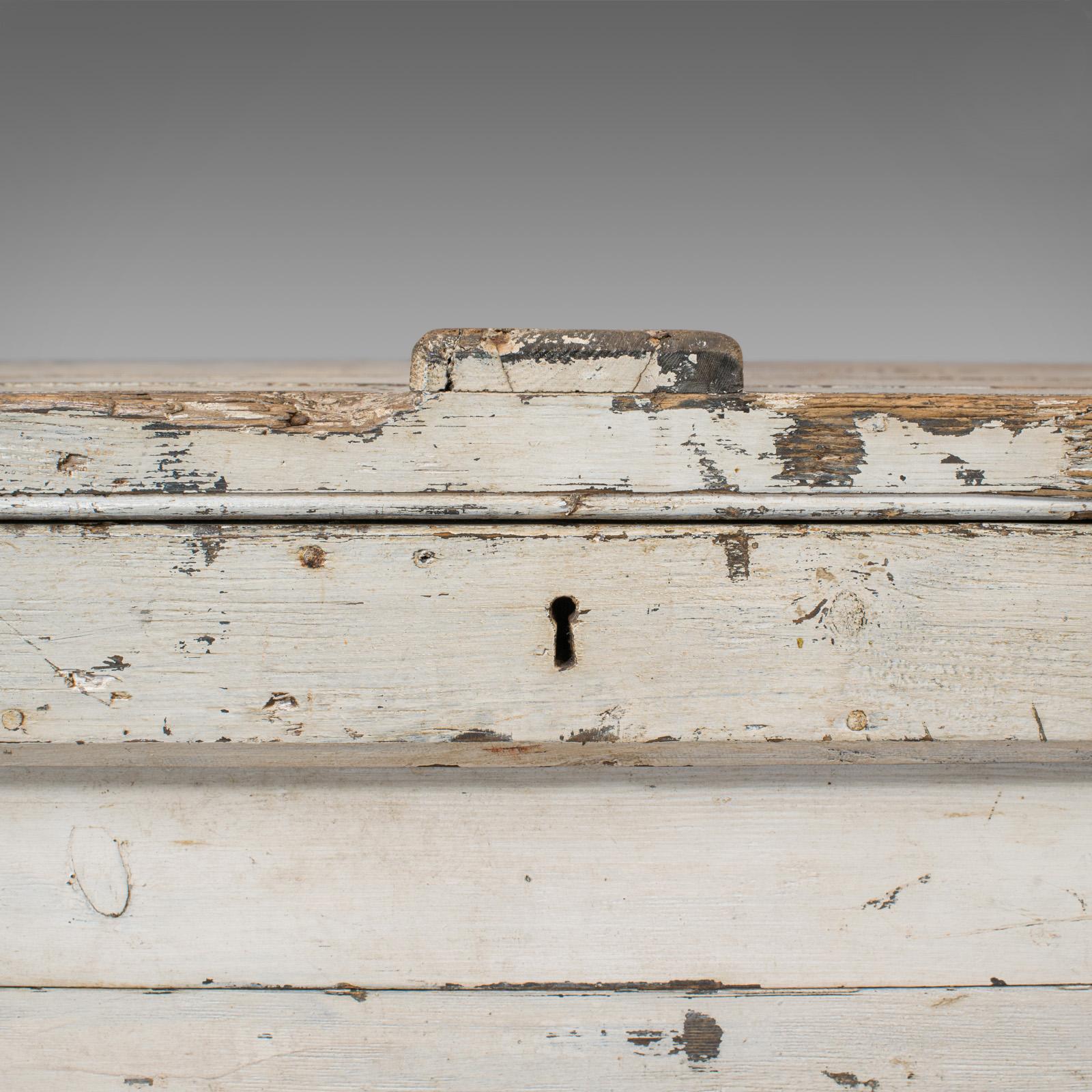 Antique Travel Trunk, English, Pine, Zinc Lined, Carriage Chest, Victorian For Sale 5