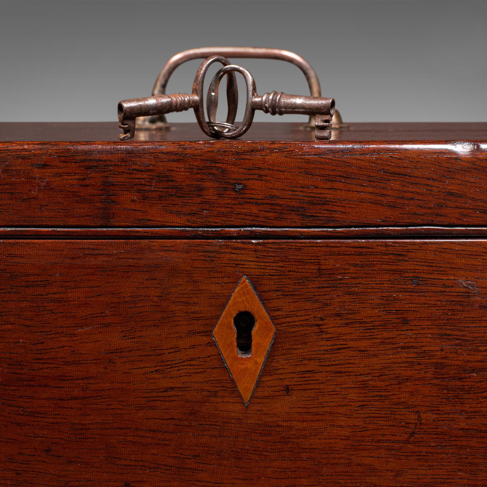 Antique Travelling Jewellery Salesman's Box, English Carry Case, Victorian, 1850 For Sale 3