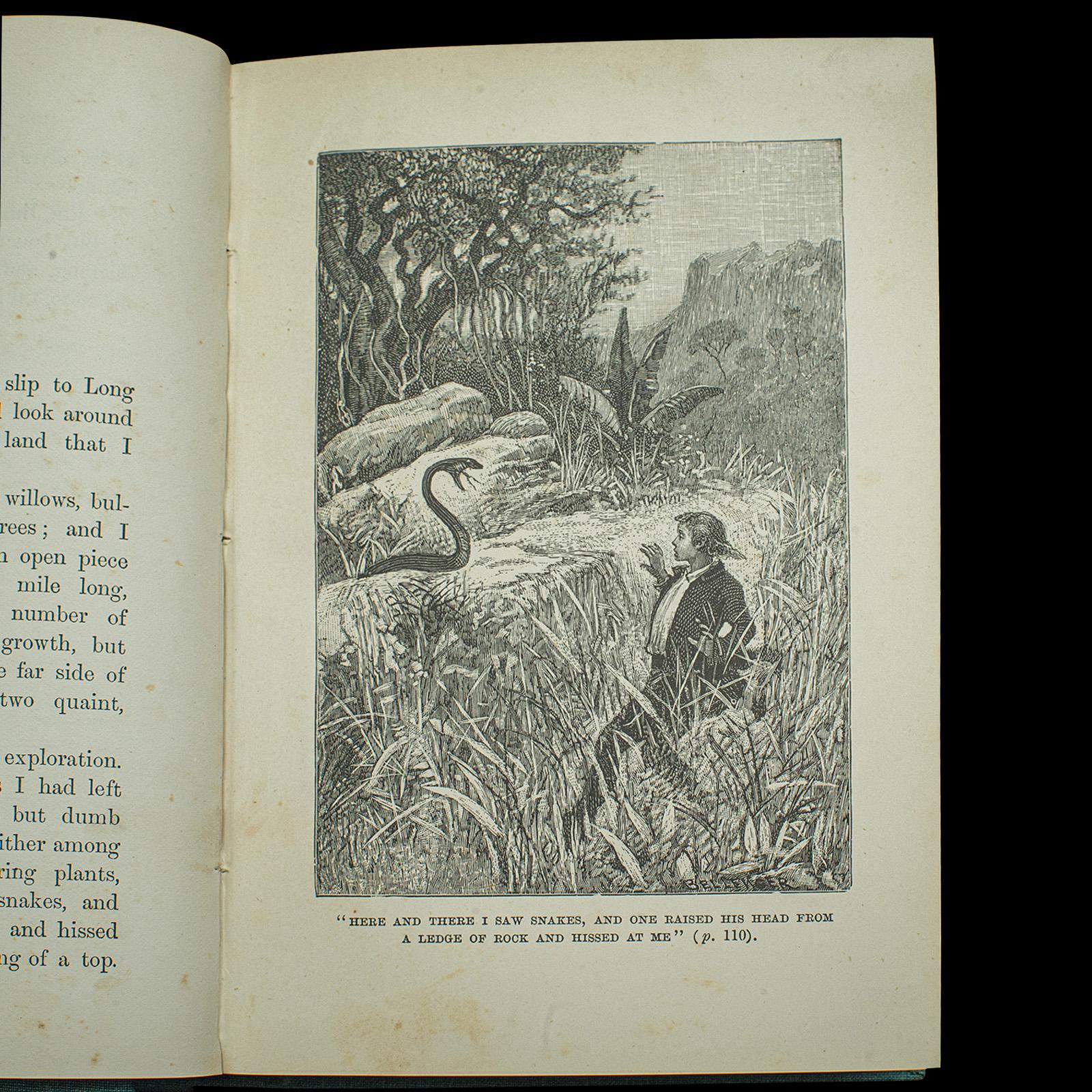 Livre ancien Treasure Island de Robert Louis Stevenson, anglais, fin de l'époque victorienne en vente 1