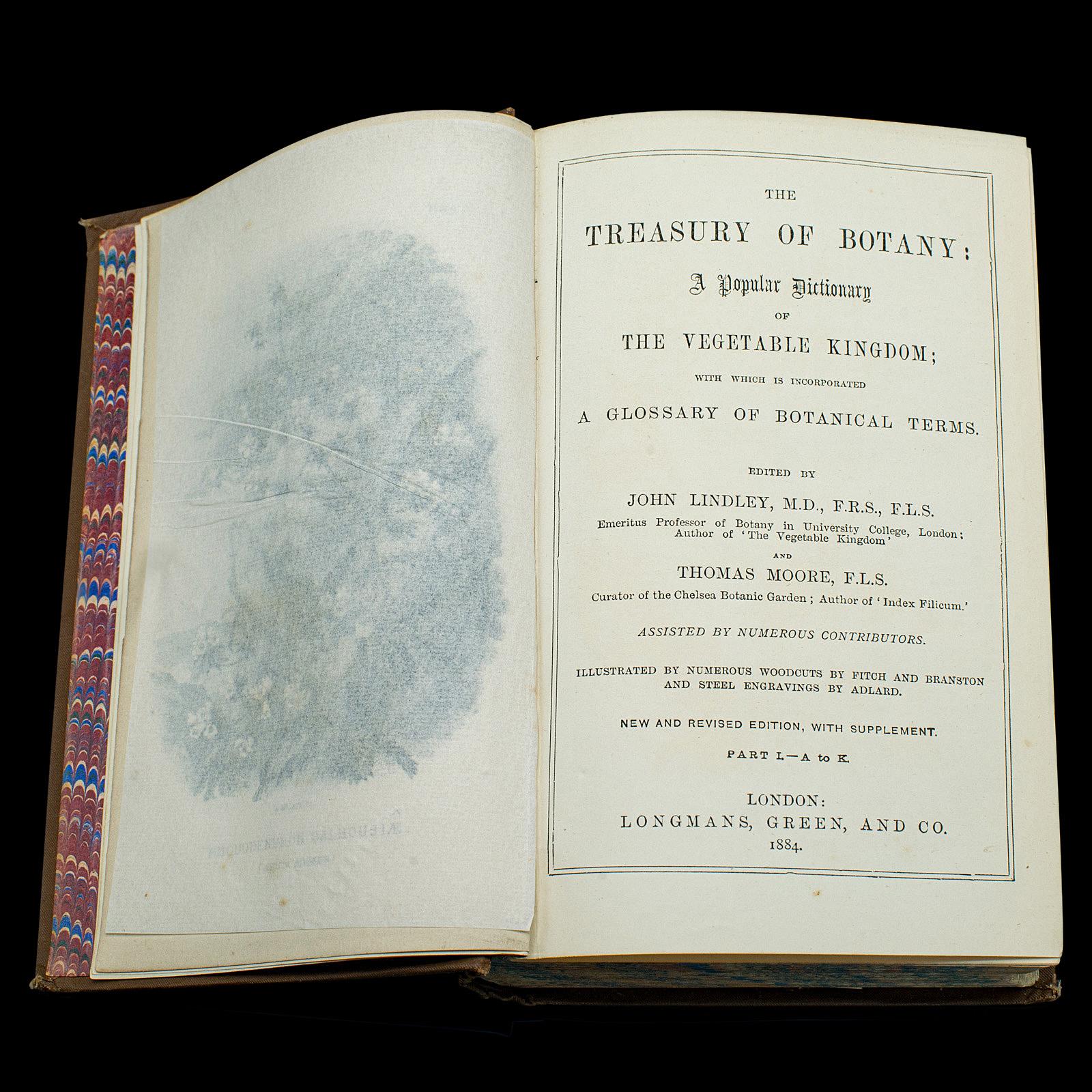 British Antique Treasury Of Botany, Vol 1&2, English Language, Reference Book, Victorian For Sale