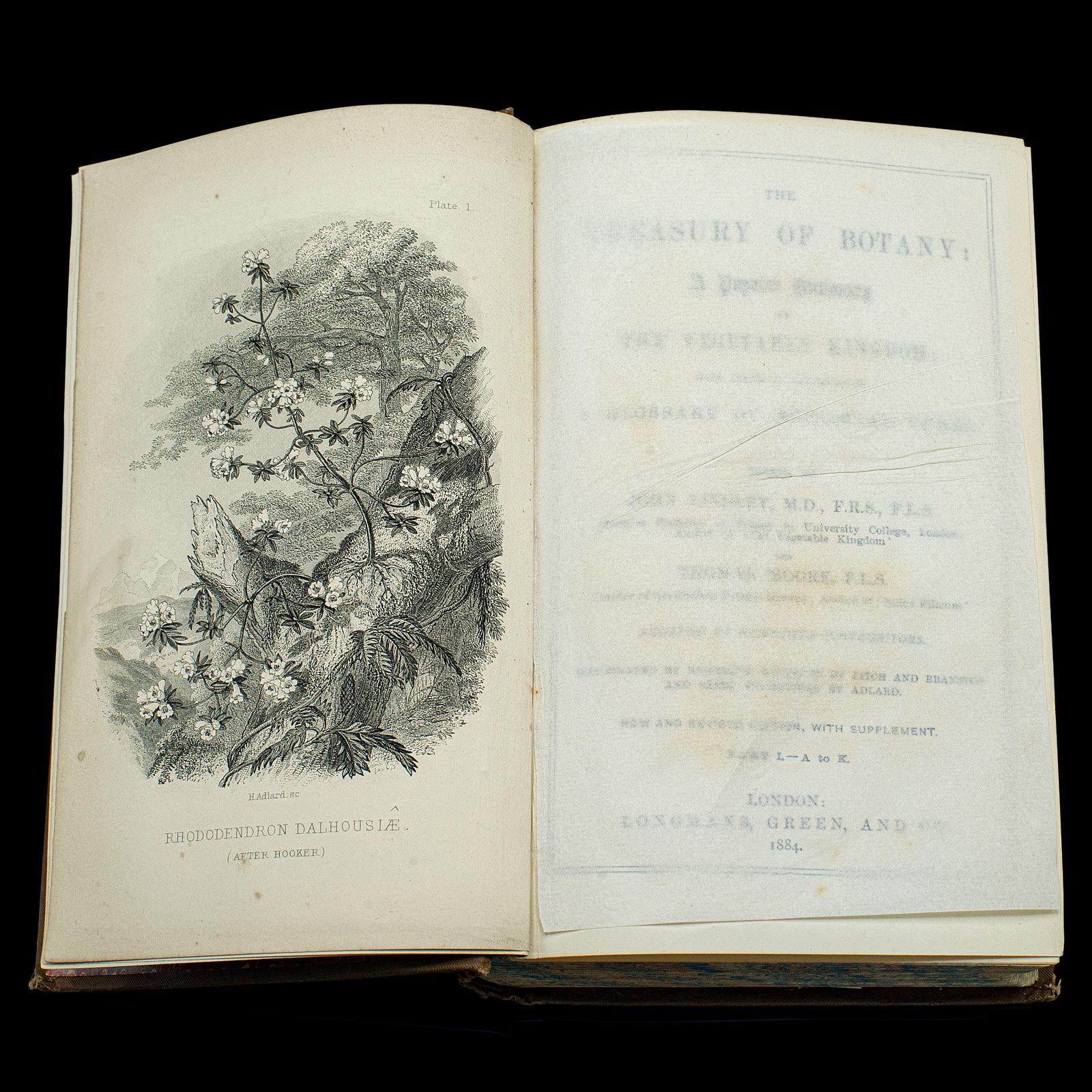 Antique Treasury Of Botany, Vol 1&2, English Language, Reference Book, Victorian In Good Condition For Sale In Hele, Devon, GB