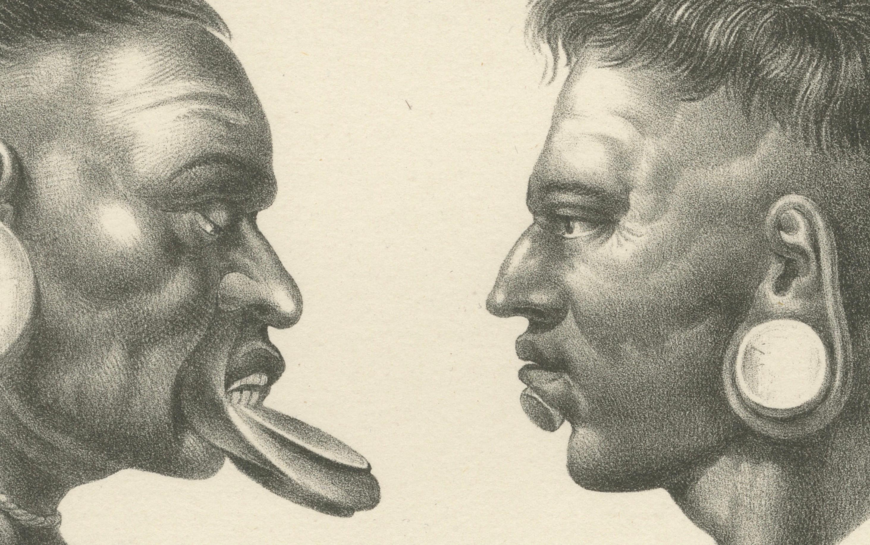 Antike Lithografien von Maxuruna- und Botocudo-Stämmen, Brodtmann 1827

Diese Original-Lithografien, die 1827 von Karl Joseph Brodtmann hergestellt wurden, zeigen seltene und historisch bedeutsame Darstellungen der indigenen Völker Südamerikas. Der