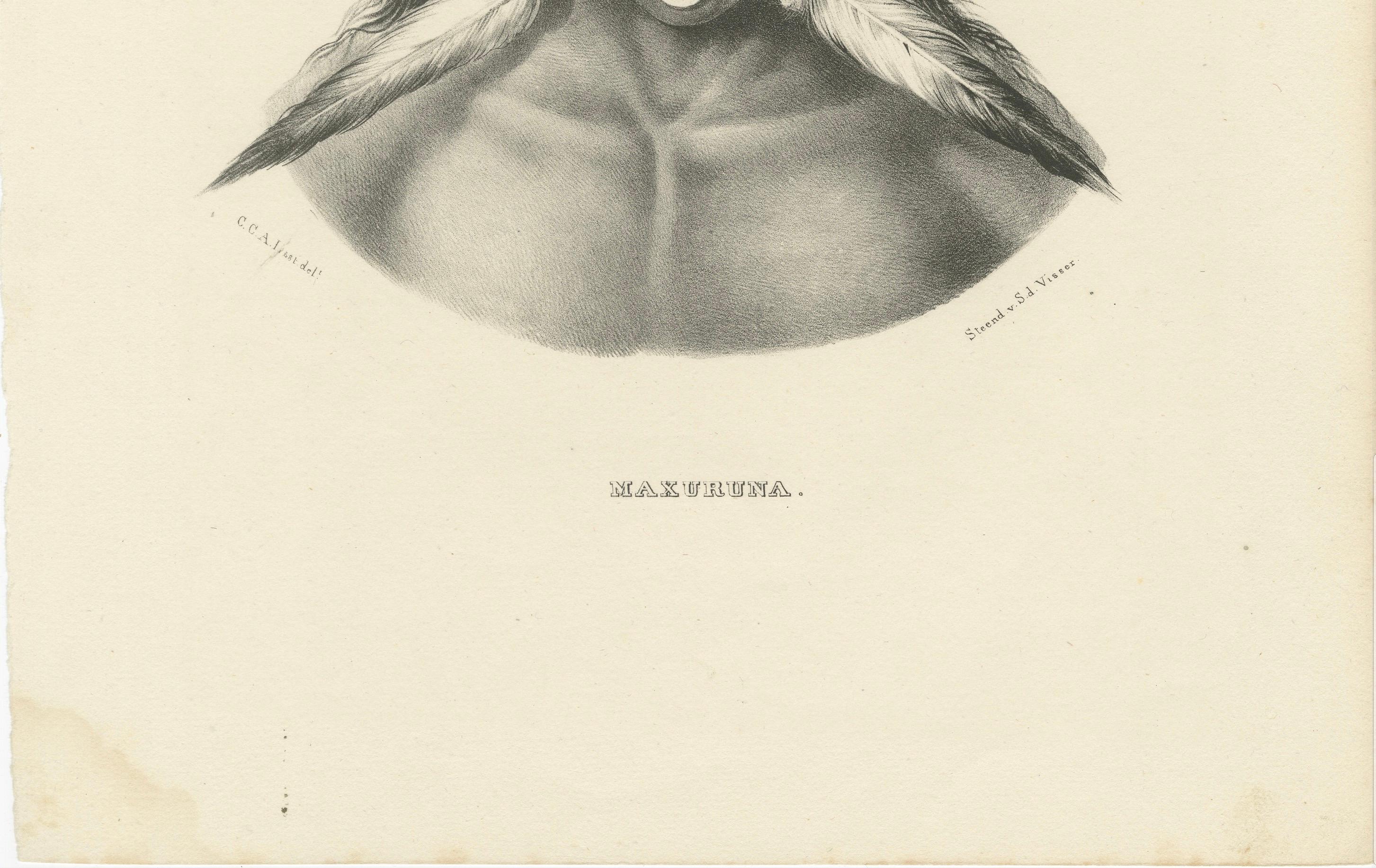 Antike Stammeslithographien von Maxuruna- und Botocudo-Völkern, Brodtmann 1827 (Papier) im Angebot