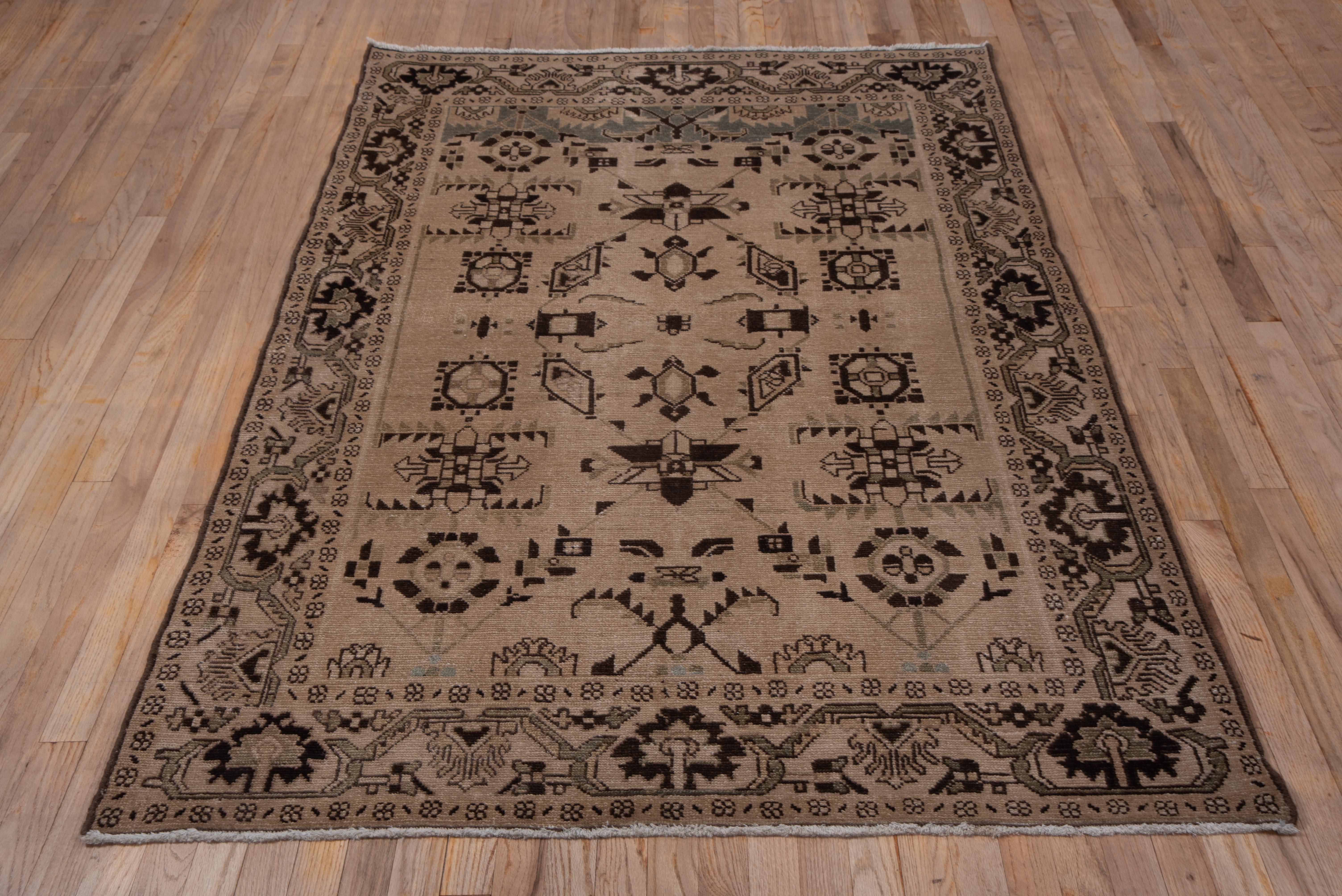 The sand field abrashes to graphite at one end, but features the classic west Persian Malayer village pattern of octagons, squares, diagonal shapes and hexagramme stars, with strong accents in dark brown. The sand border of this scatter shows ragged