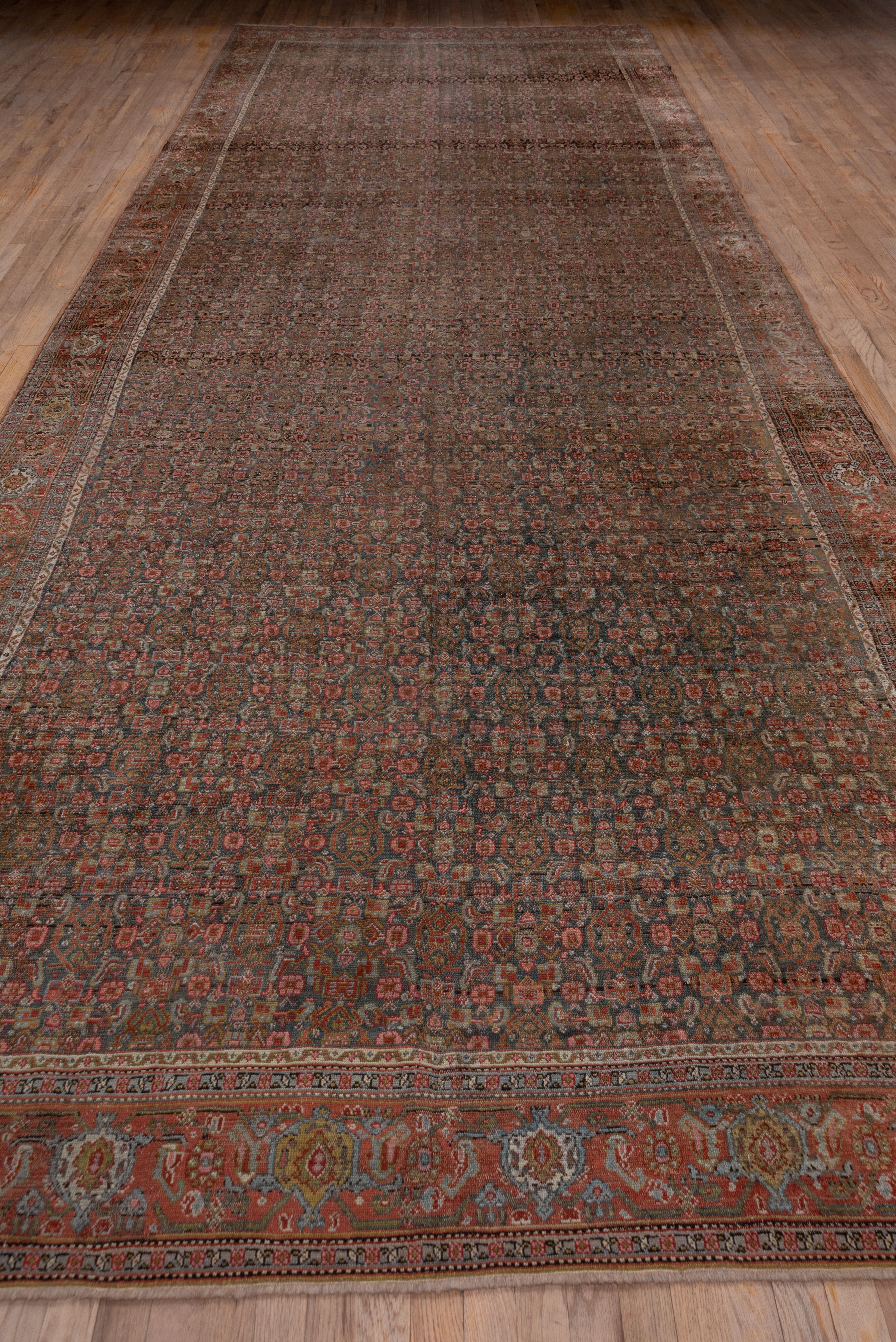 A compact small Herati design closely covers the well-abrashed warm medium brown field and gives a subtle diagonal over-pattern. The medium brown border shows reversing turtle palmettes with ecru and straw accents. This NW Persian Kurdish town