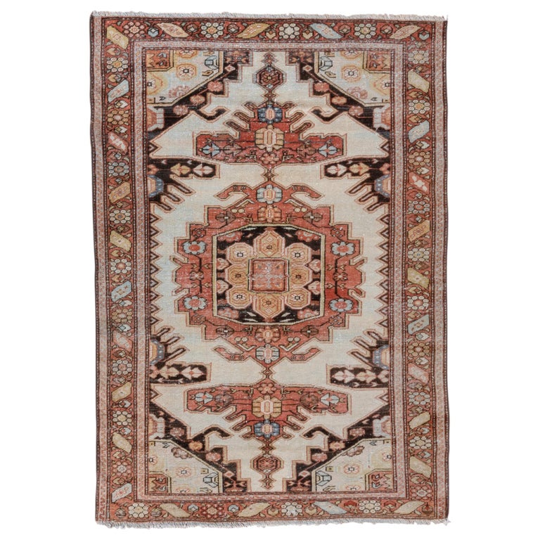 Tapis persan Sarouk des années 1920 ( 9' 6 x 12' - 290 x 365 cm) - En