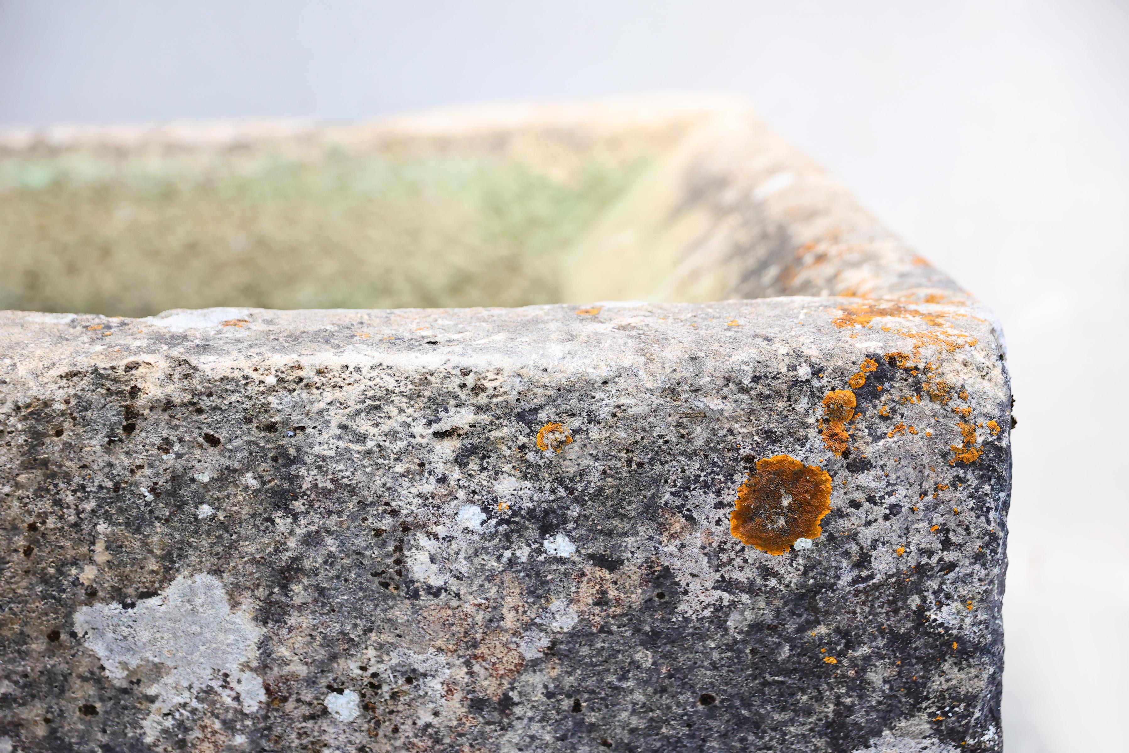 Limestone Antique trough of French limestone For Sale