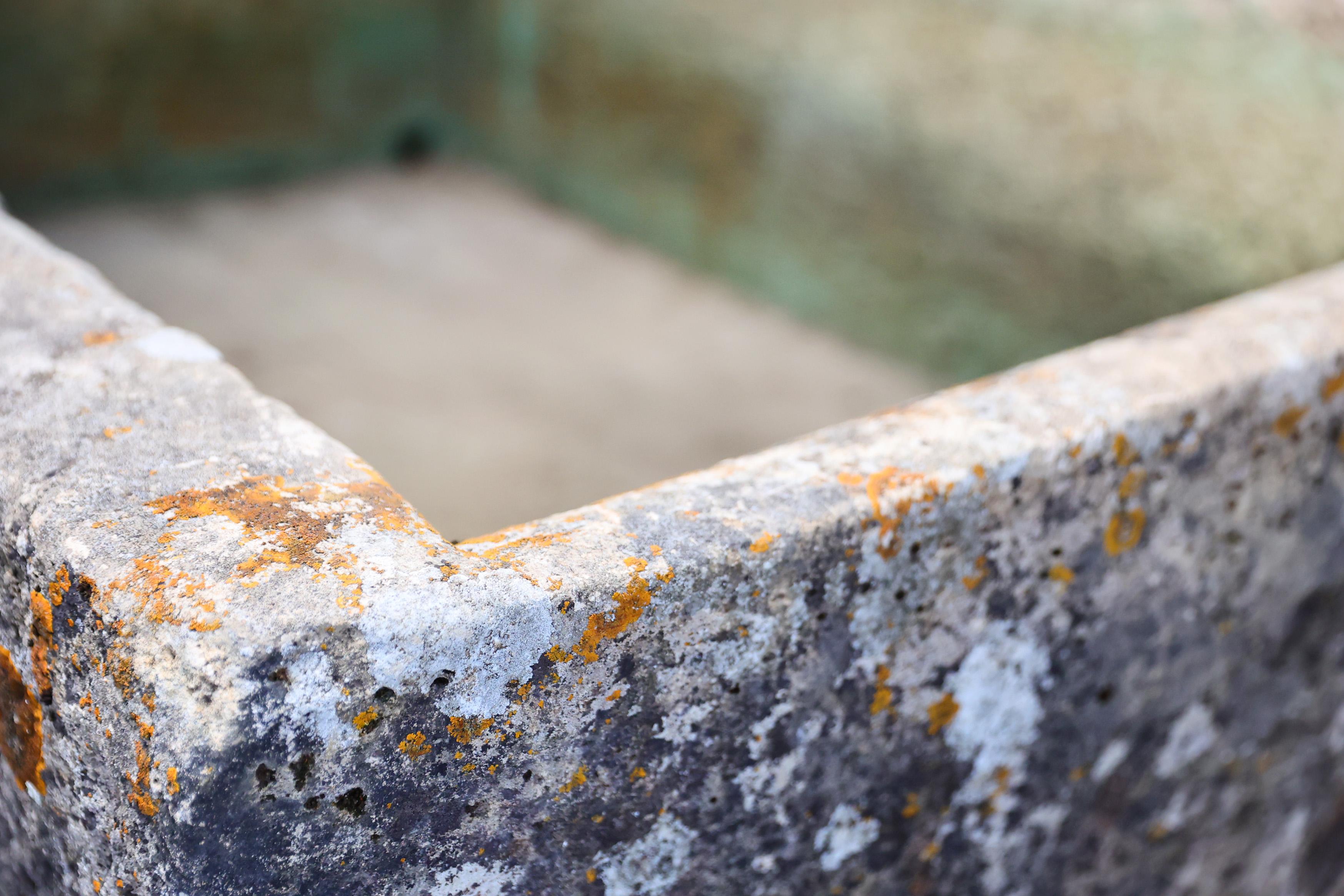 Antique trough of French limestone For Sale 1