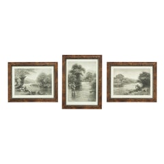 Used Trout Fishing Prints, Set of Three Photogravures.