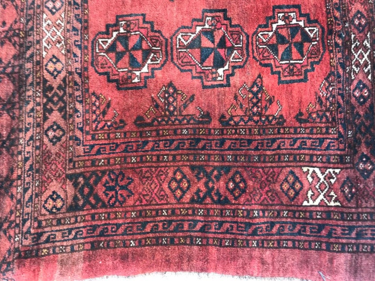 Antique Turkmen Boukhara Horse Cover For Sale at 1stDibs