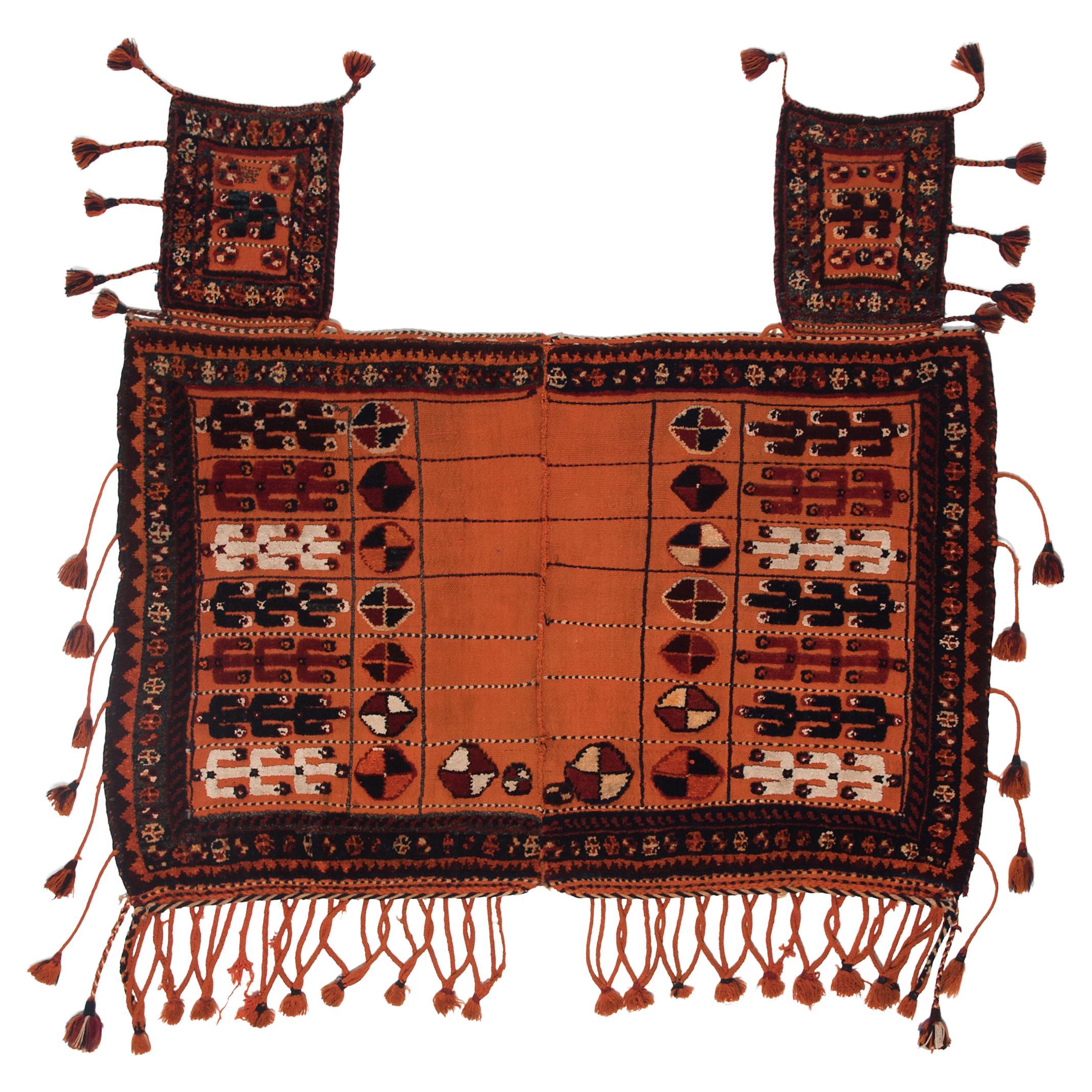 Antique Turkmen Horse Cover Blanket with Tassel Fringe