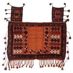 Antique Turkmen Horse Cover Blanket with Tassel Fringe