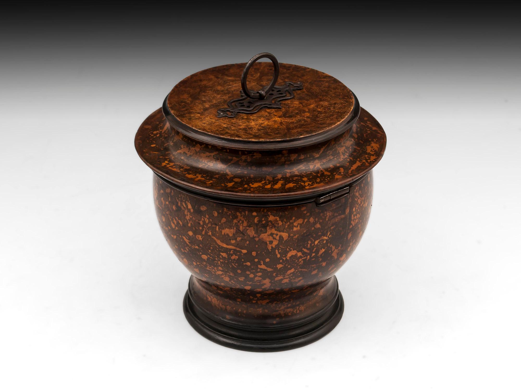 Antique Urn Shaped Mottled Tea Caddy Early 19th Century In Good Condition In Northampton, United Kingdom