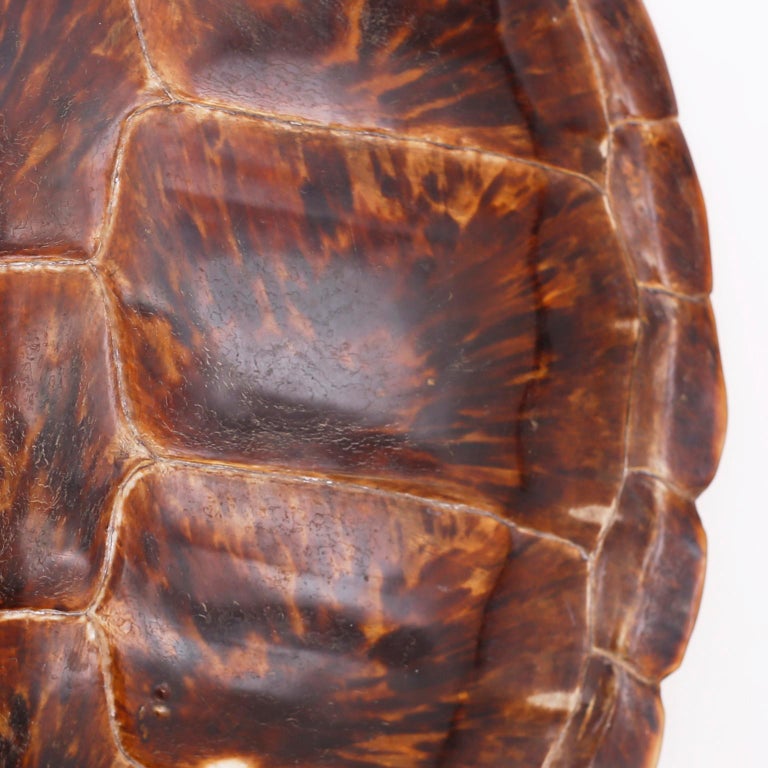 faux leather the insider ankle in tortoise shell mother