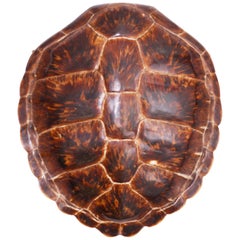 Antike Schildkröte oder Schildkrötenpanzer