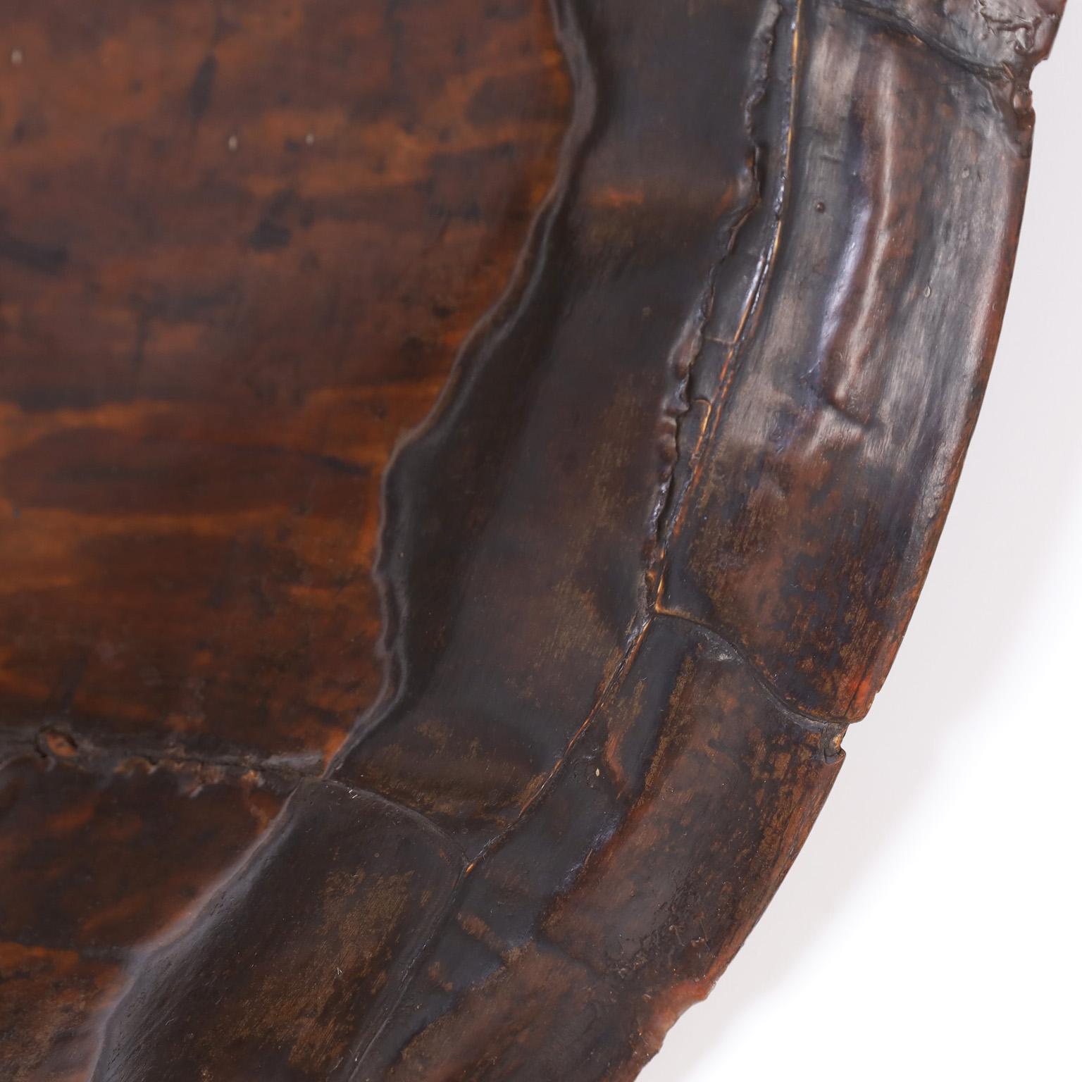 American Antique Turtle Shell