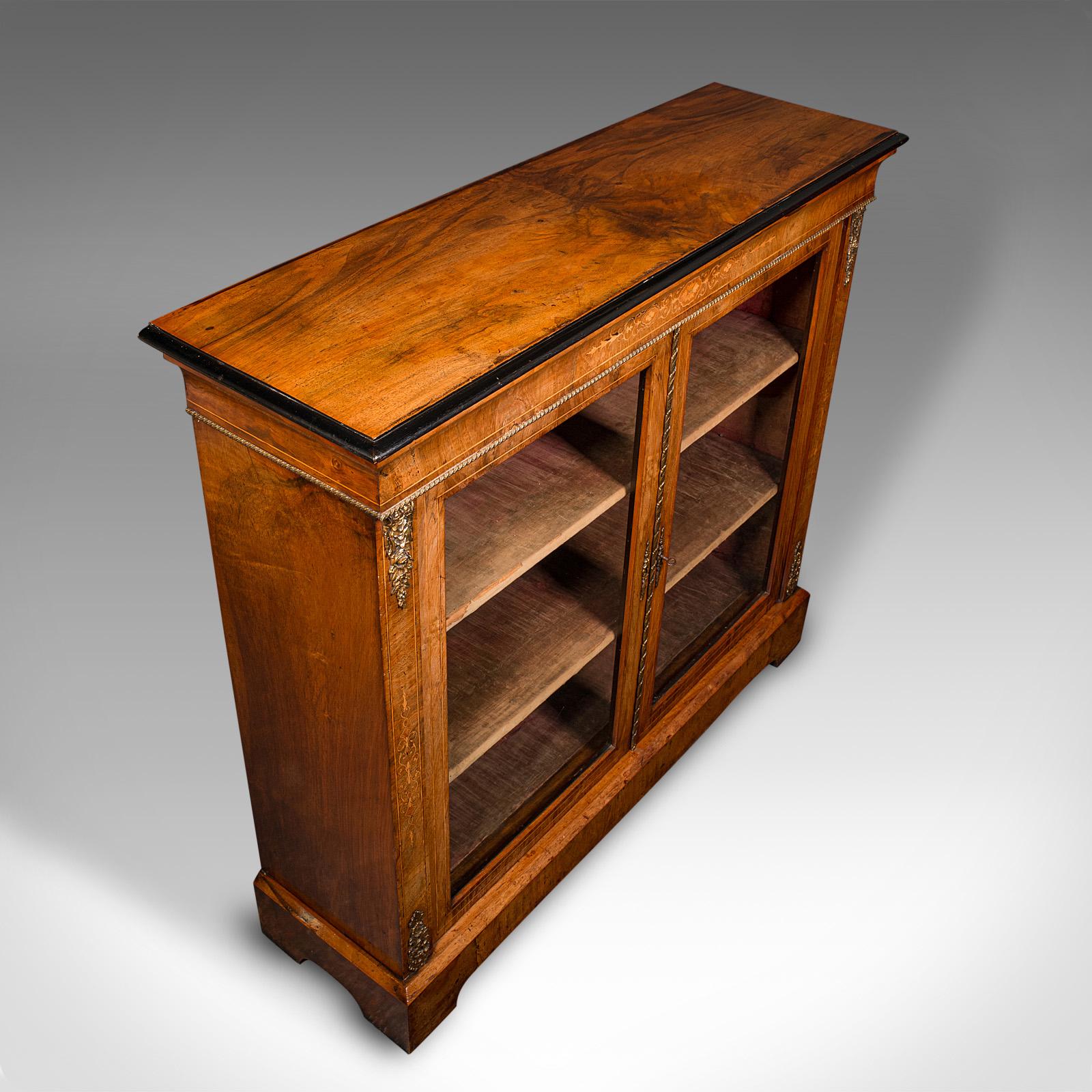 Antique Twin Pier Cabinet, English, Walnut, Glazed Bookcase, Display, Victorian 2