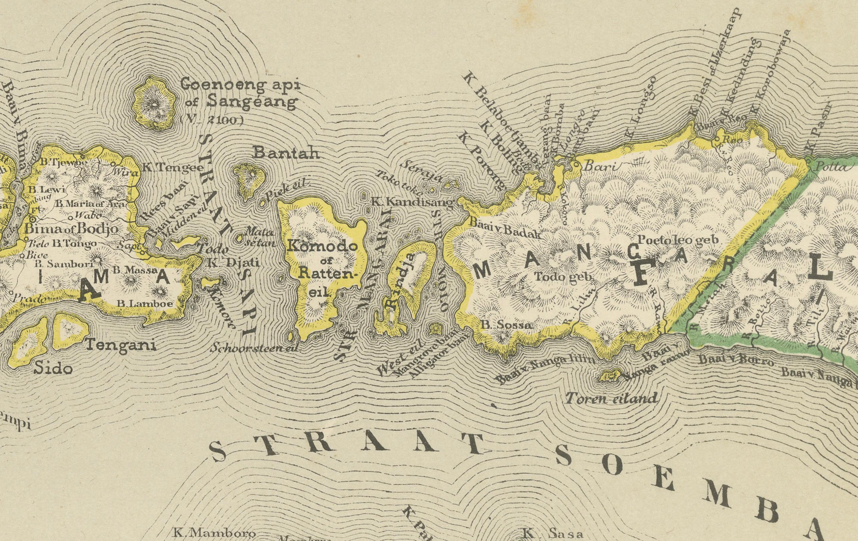 Mappa antica in due fogli delle Piccole Isole della Sonda, Indie Orientali Olandesi - 1884 in vendita 6