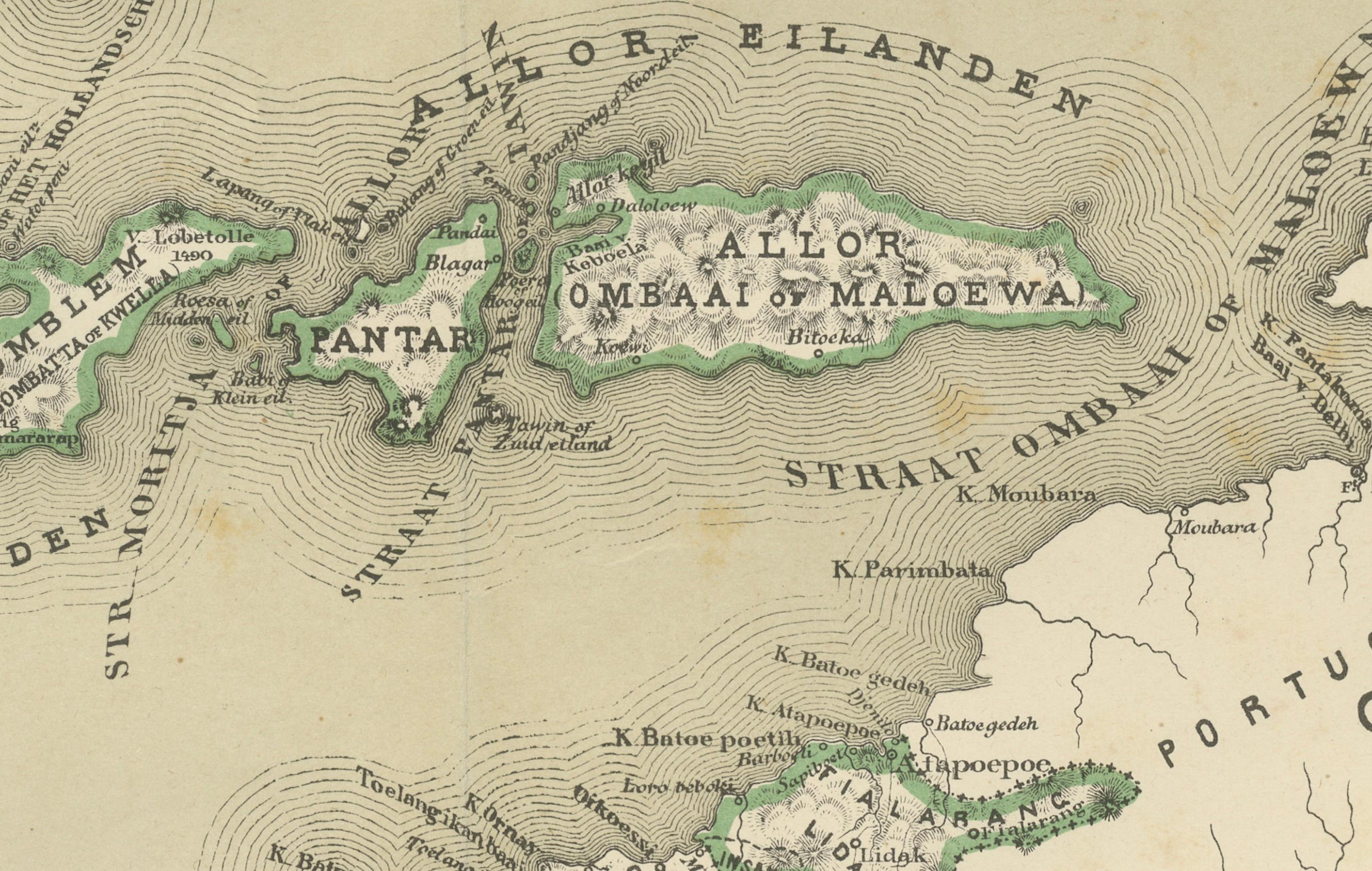 Mappa antica in due fogli delle Piccole Isole della Sonda, Indie Orientali Olandesi - 1884 in vendita 1