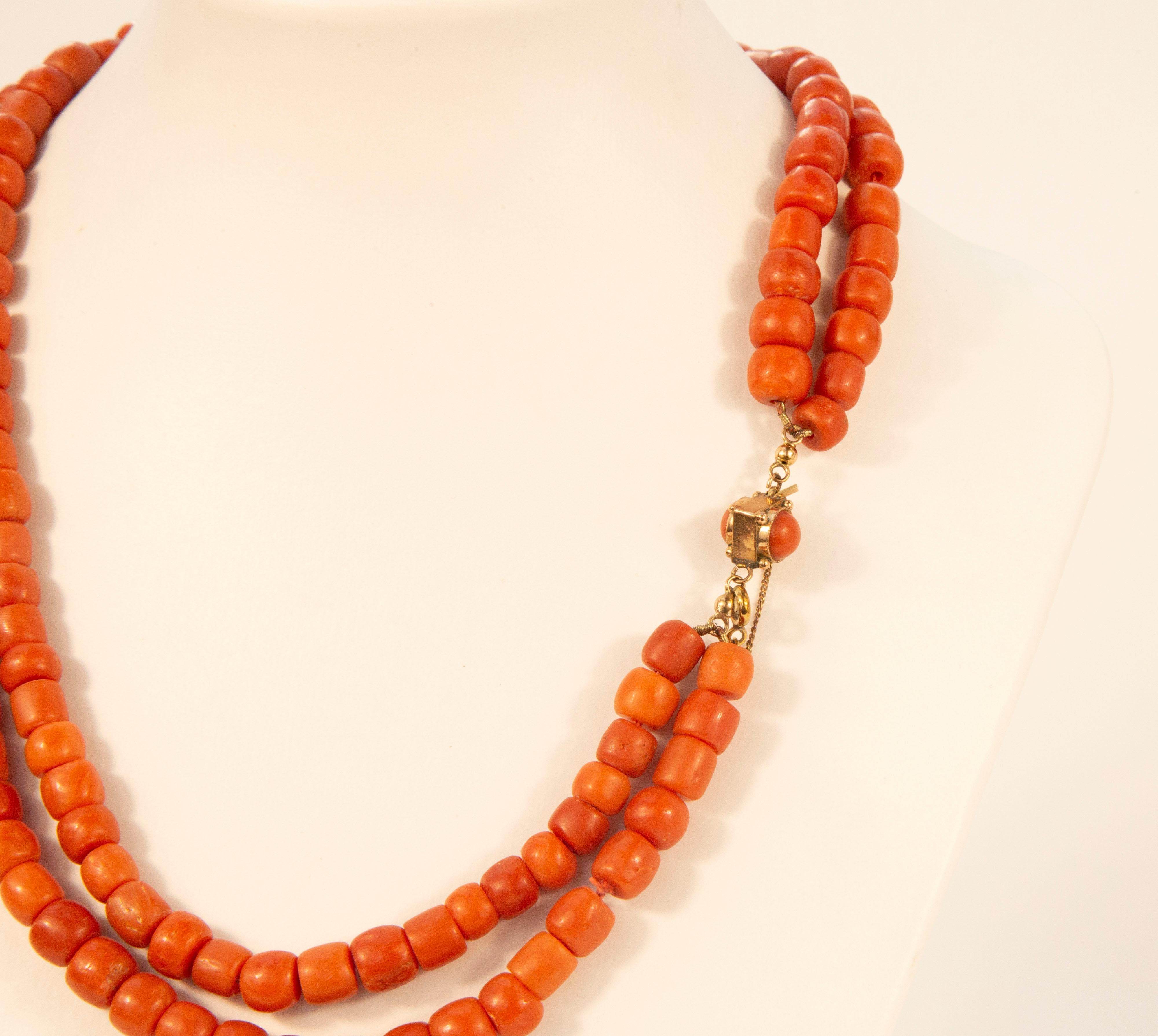 Edwardian Antique Two Strand Red Coral Necklace with a 14 Karat Rose Gold Barrel Lock For Sale