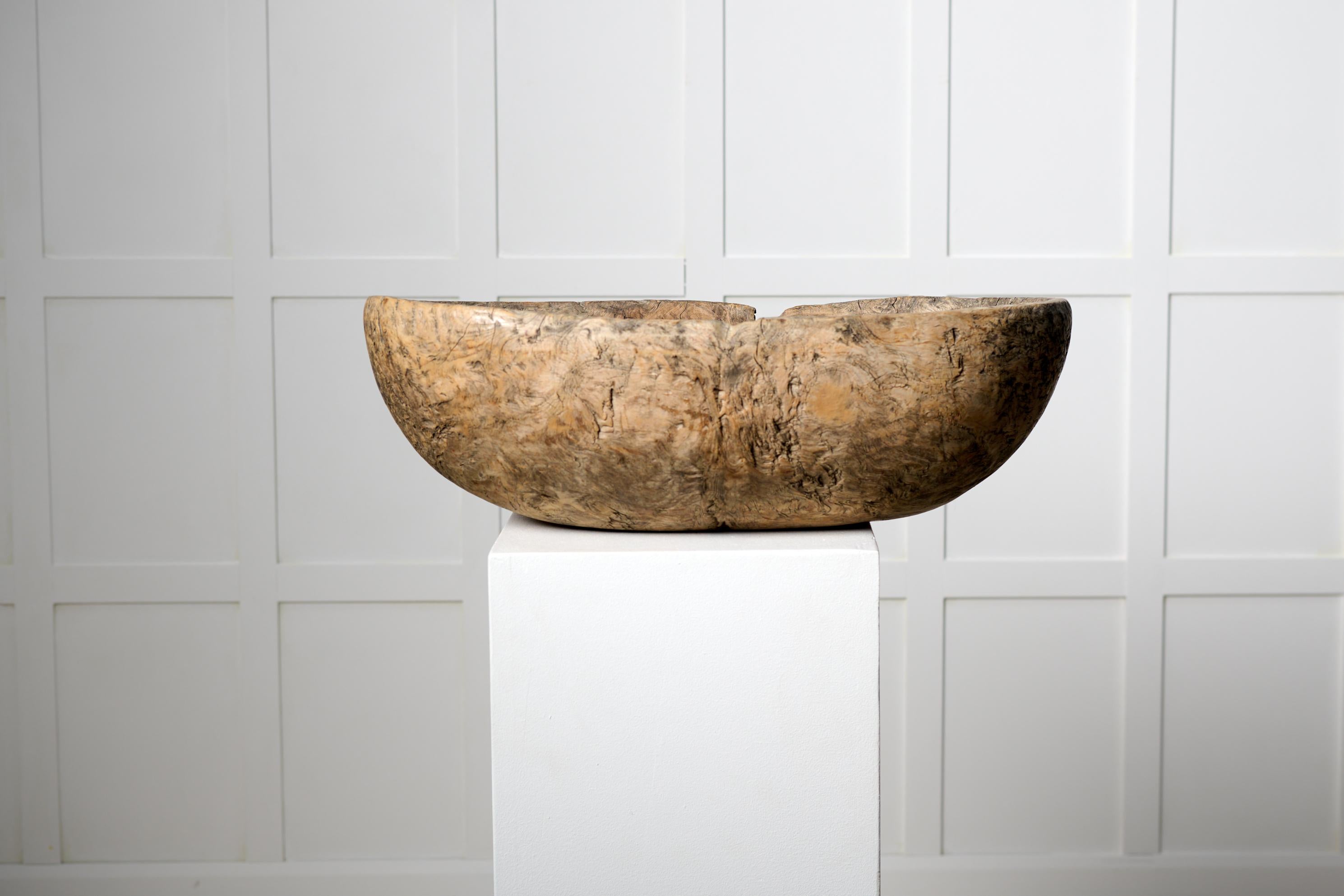 Antique Unusual Swedish 18th Century Hand-Made Country Solid Birch Root Bowl  For Sale 1