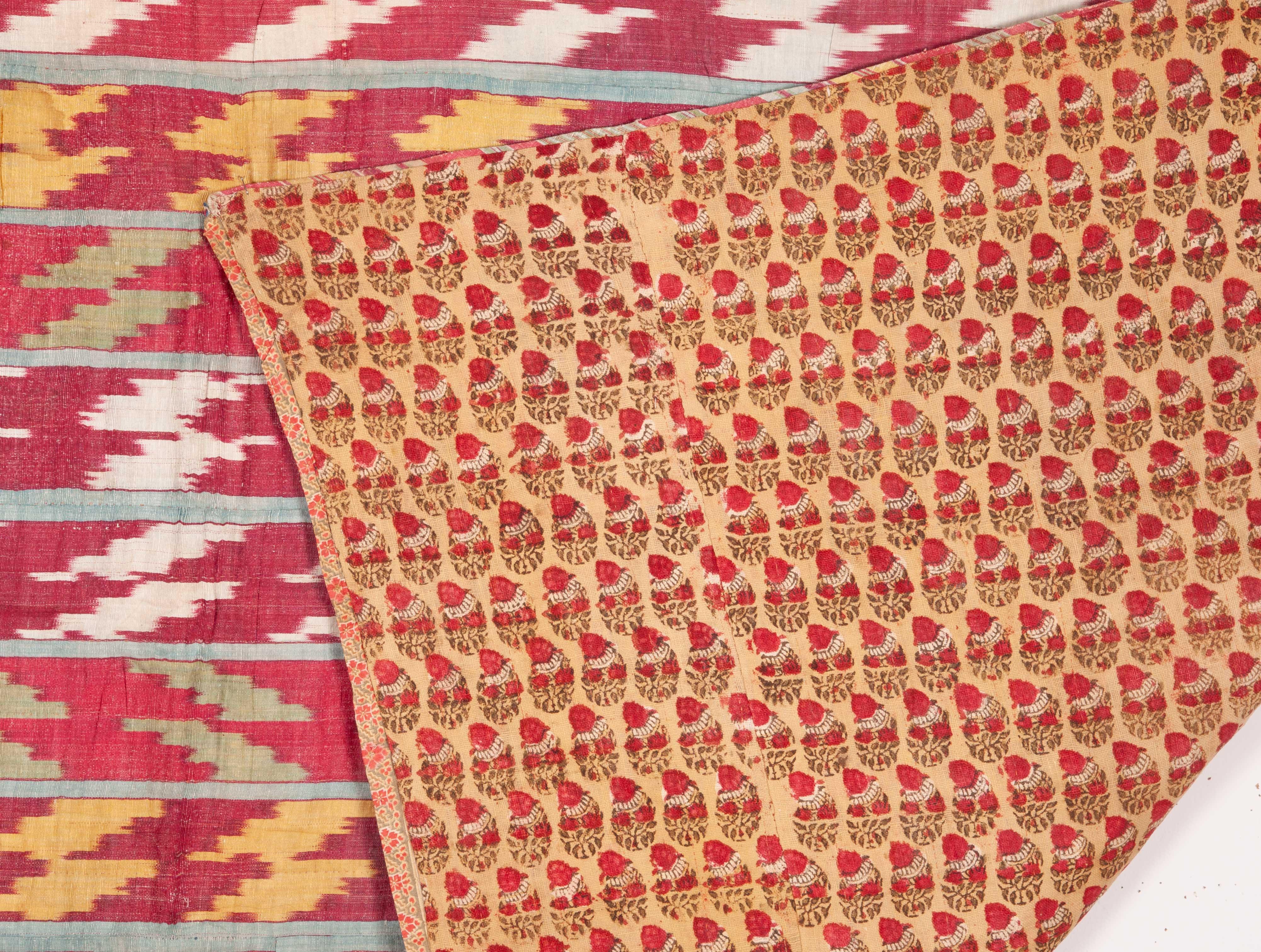 Antique Uzbek Silk Warp Cotton Wefr Ikat Panel, 19th Century 2