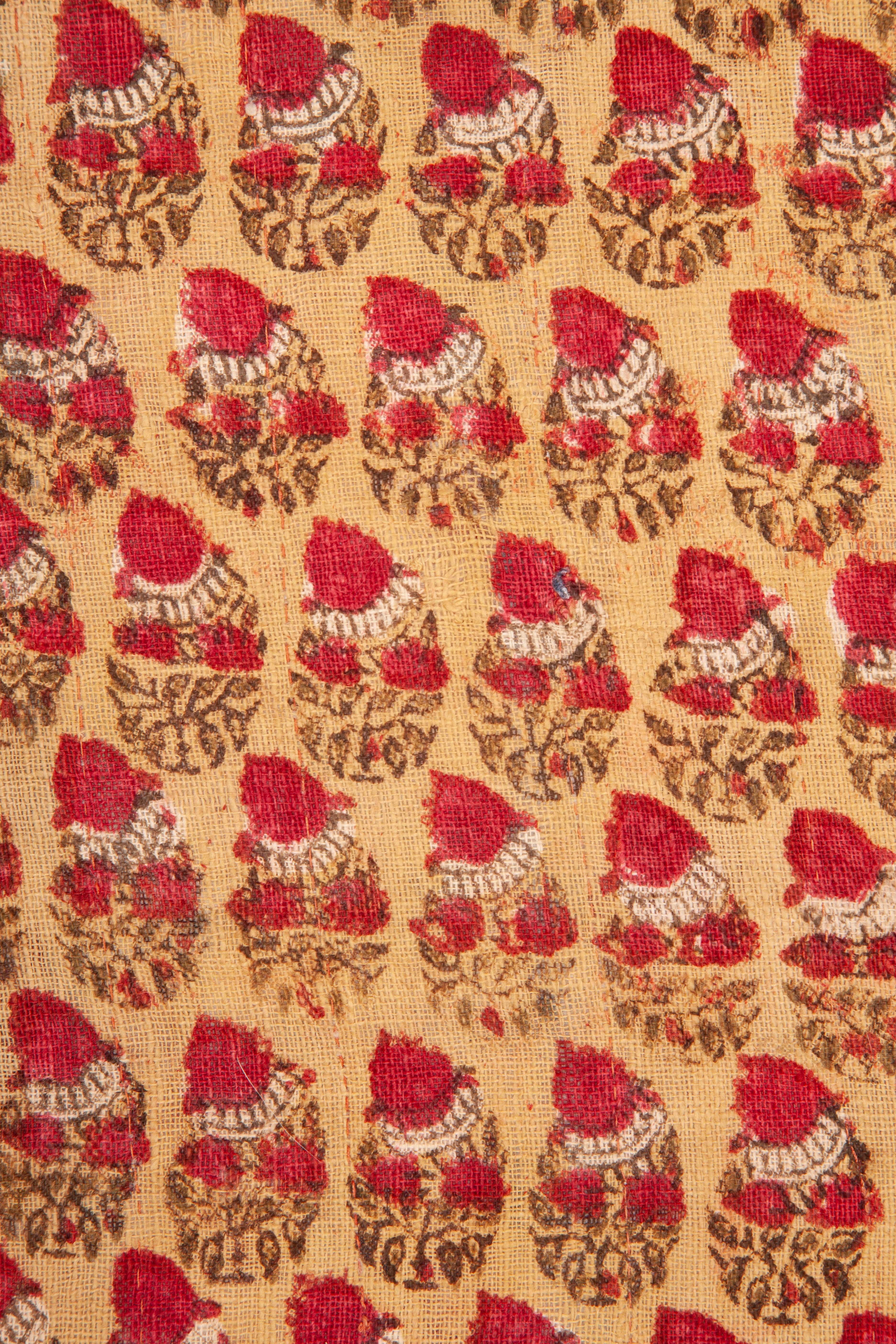 Antique Uzbek Silk Warp Cotton Wefr Ikat Panel, 19th Century 4