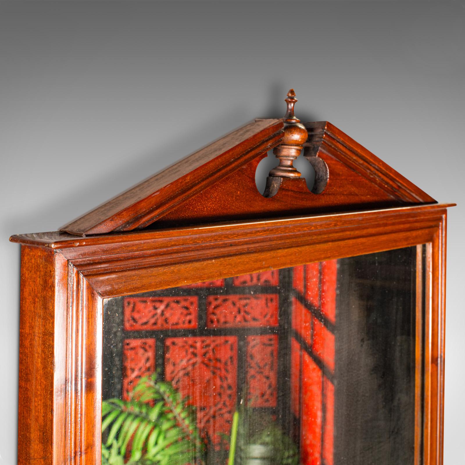 Antique Valet Mirror, Glove Box, English, Reception, Scarf Rail, Victorian, 1900 In Good Condition For Sale In Hele, Devon, GB