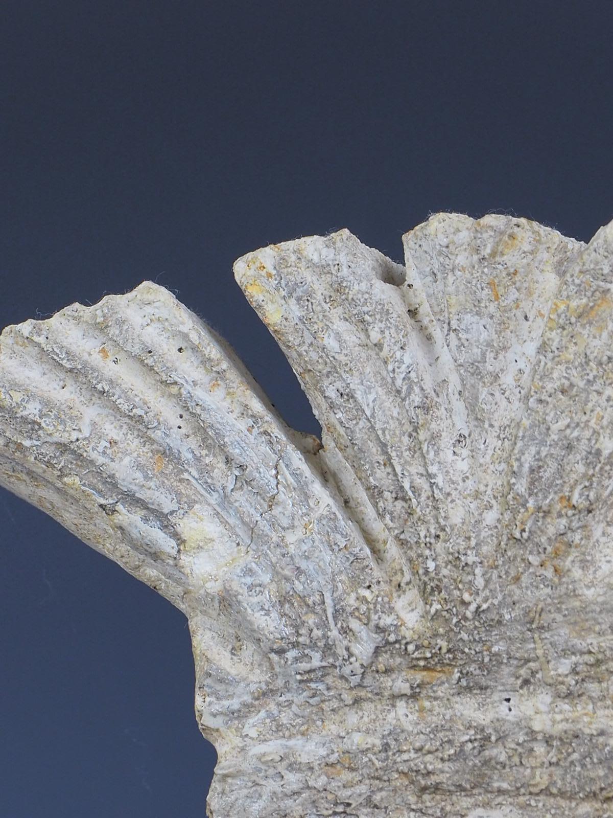 Tête de gladiateur romain antique en pierre vénitienne en vente 8