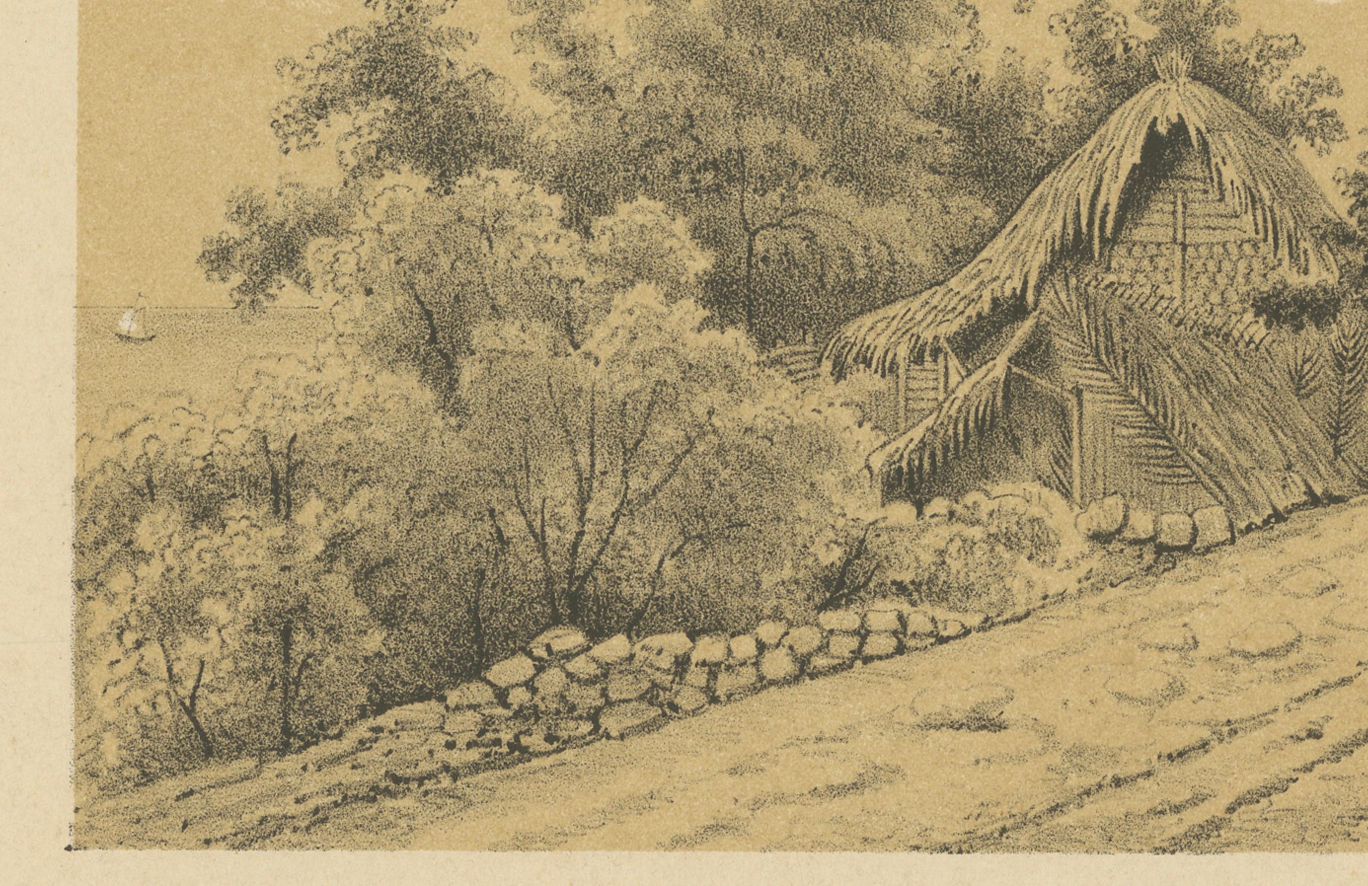 Néerlandais Antique Venezuela La Guaira Landscape - Dutch Colonial Tinted Lithograph, 1888 en vente