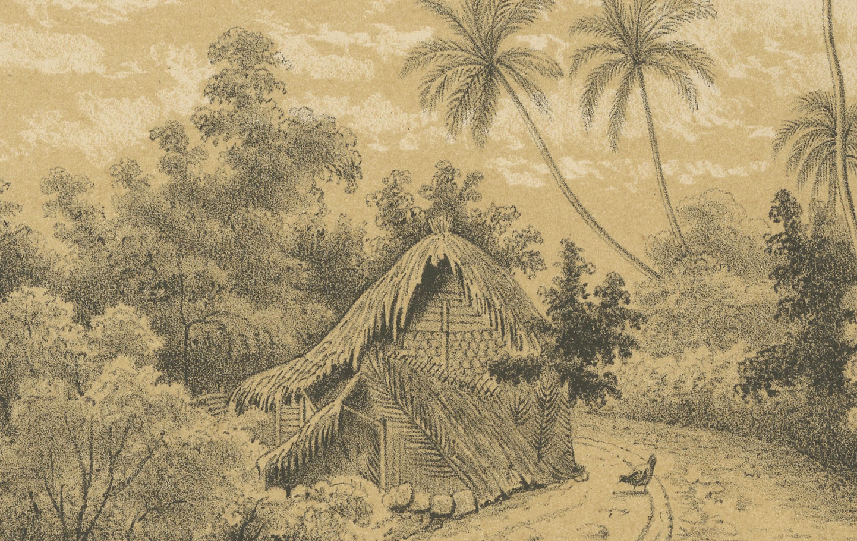 Antique Venezuela La Guaira Landscape - Dutch Colonial Tinted Lithograph, 1888 Bon état - En vente à Langweer, NL