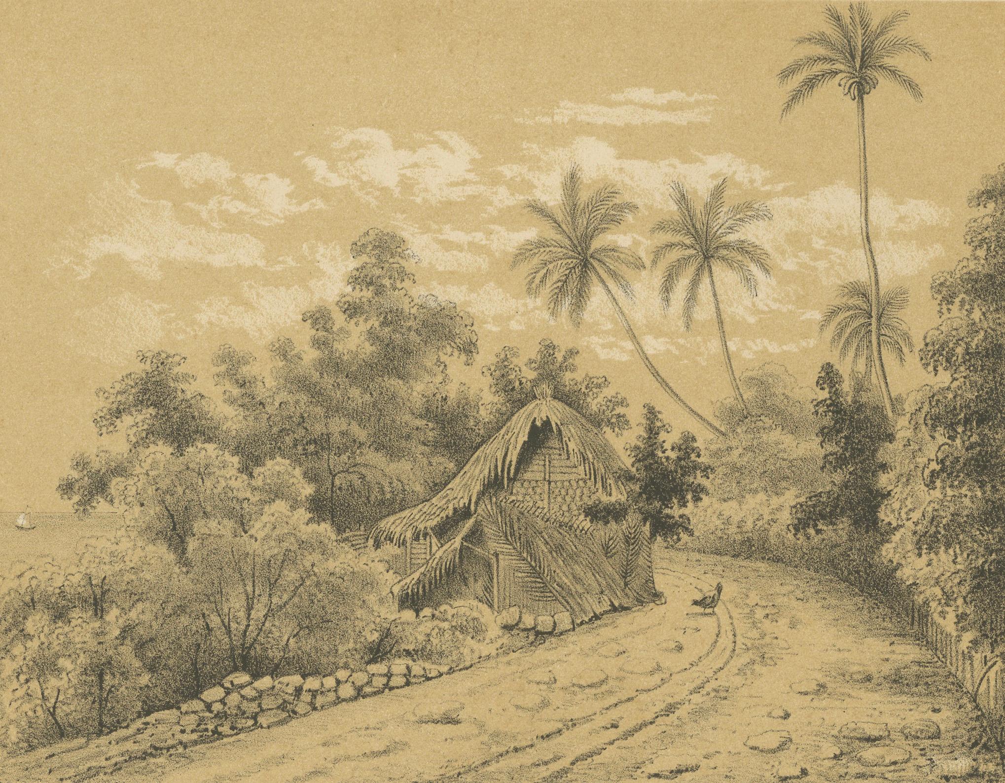 Fin du XIXe siècle Antique Venezuela La Guaira Landscape - Dutch Colonial Tinted Lithograph, 1888 en vente