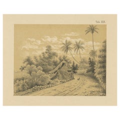 Antique Venezuela La Guaira Landscape - Dutch Colonial Tinted Lithograph, 1888