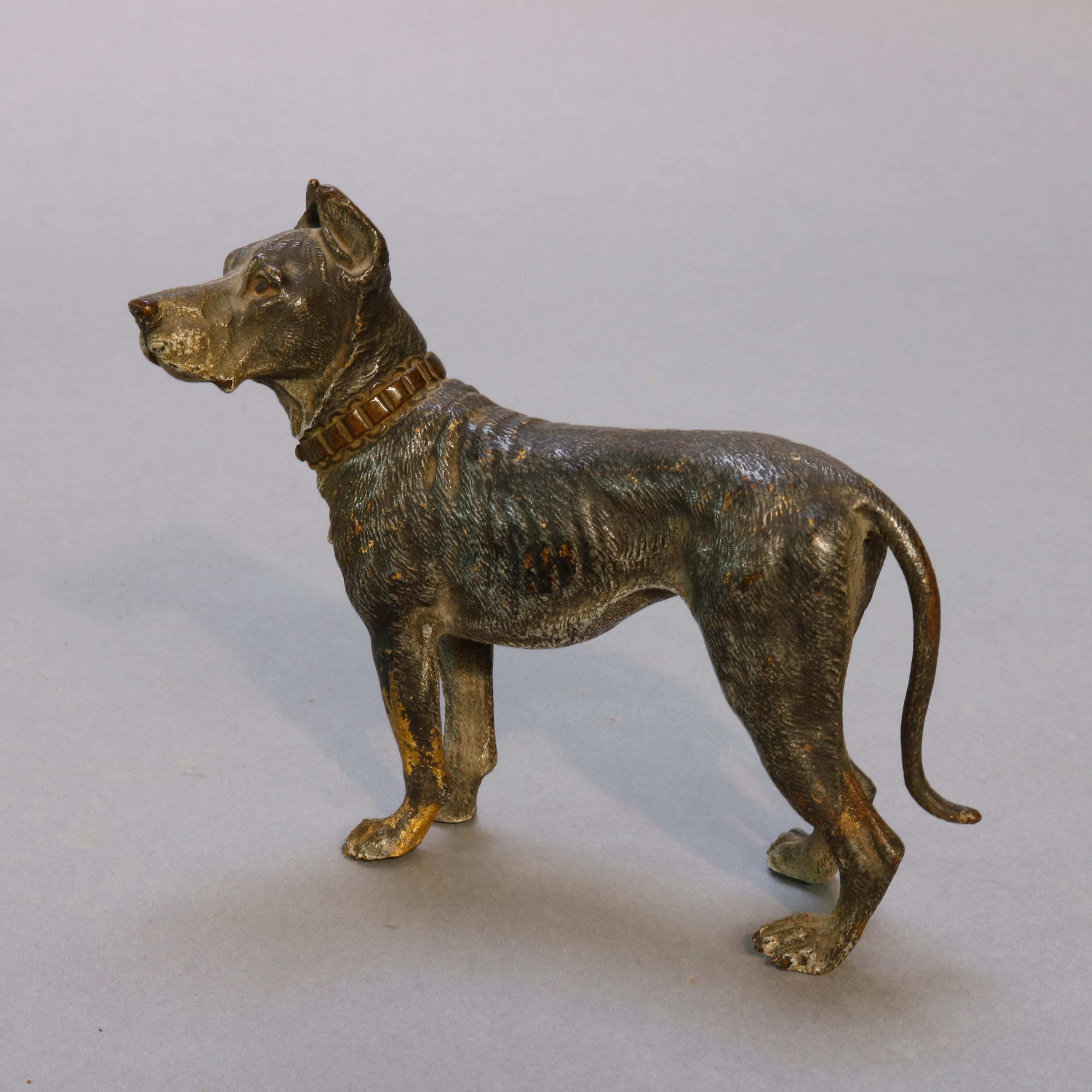 An antique Vienna cold painted bronze dog, Great Dane, circa 1900.

Measures: 4.5