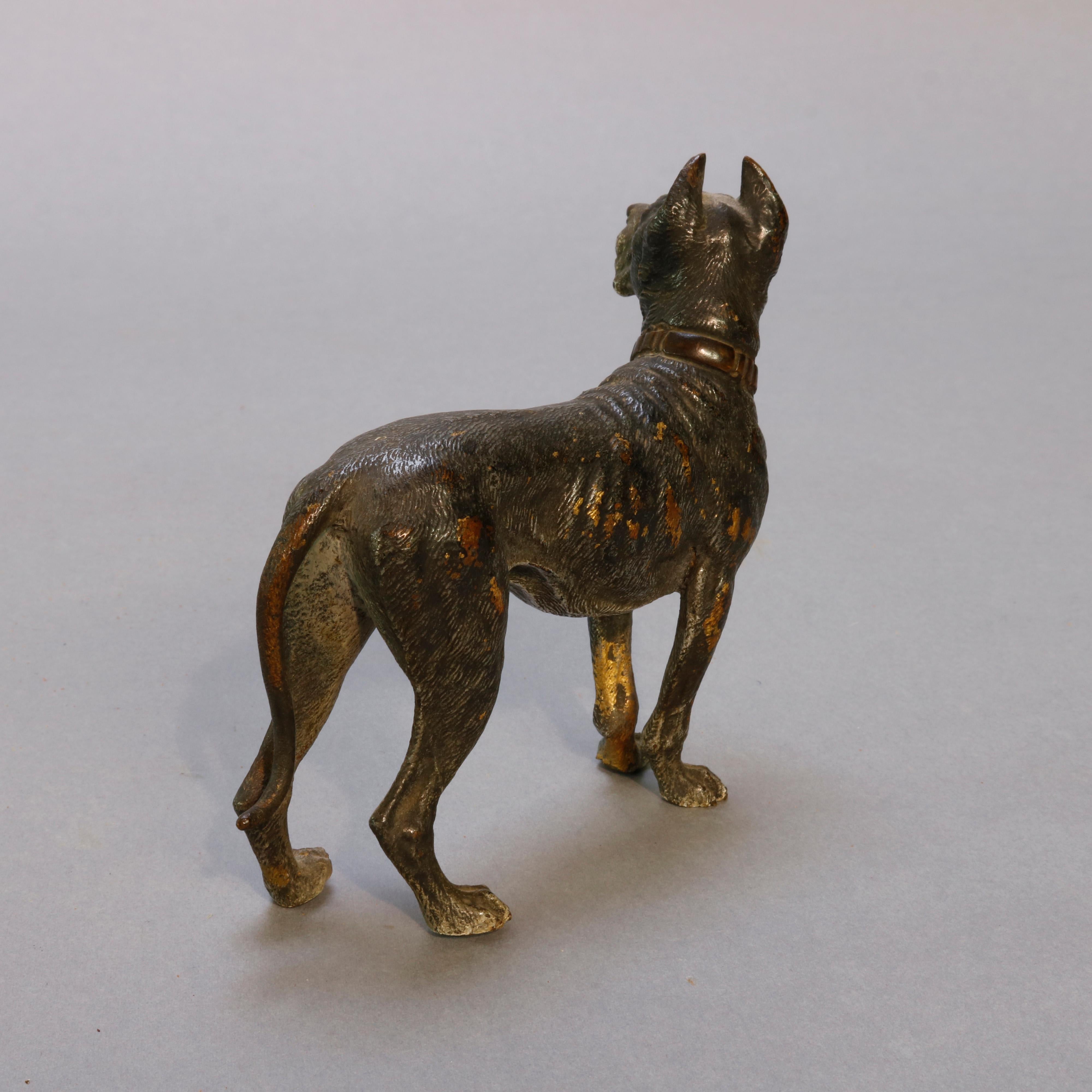 Austrian Antique Vienna Cold Painted Bronze Dog, Great Dane, circa 1900