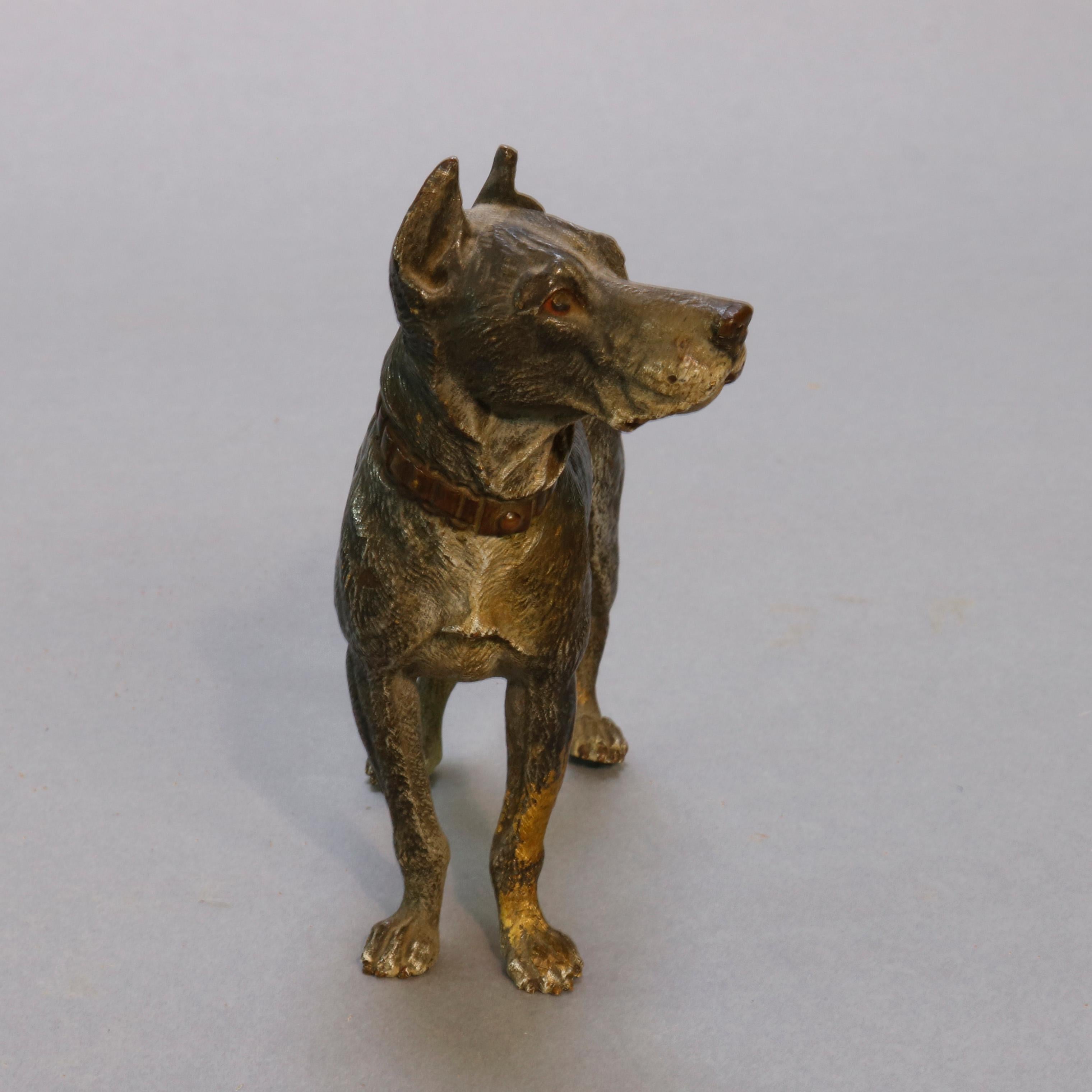 Antique Vienna Cold Painted Bronze Dog, Great Dane, circa 1900 In Good Condition In Big Flats, NY