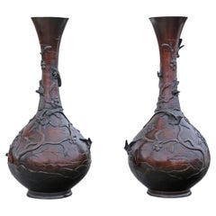 Antique Very Large Pair of Japanese Bronze Vases 19th Century Meiji