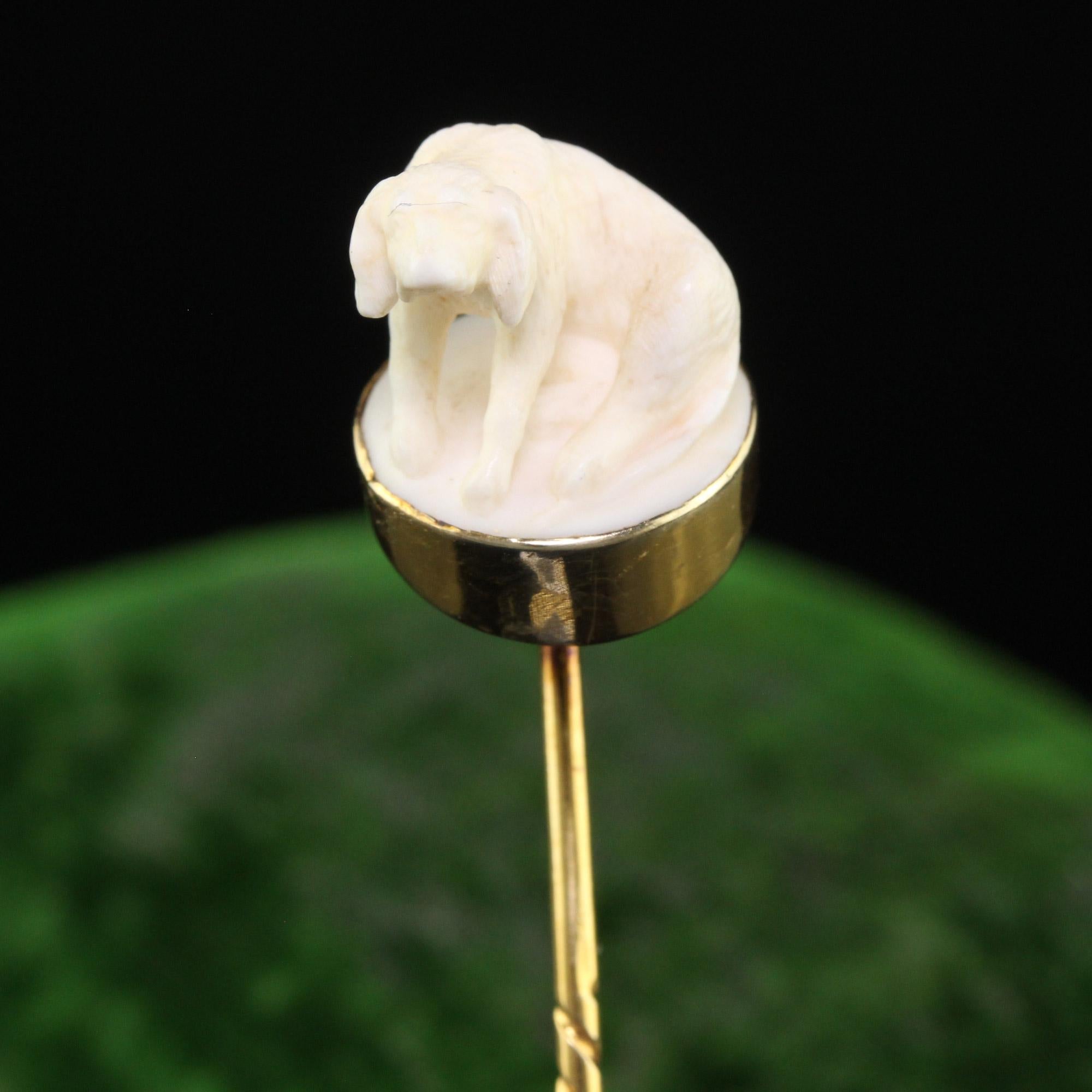 Schöne antike viktorianische 14K Gelbgold geschnitzt Bone Dog Stick Pin. Diese wunderschöne viktorianische Brosche ist aus 14k Gelbgold und geschnitztem Knochen gefertigt. Diese Brosche zeigt einen kunstvoll aus Knochen geschnitzten Hund. Die