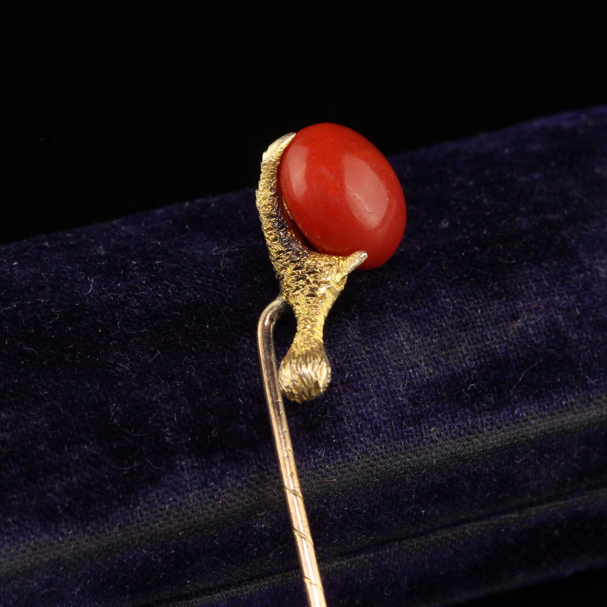 Antique Victorian 14K Yellow Gold Natural Coral Claw Stick Pin In Good Condition For Sale In Great Neck, NY