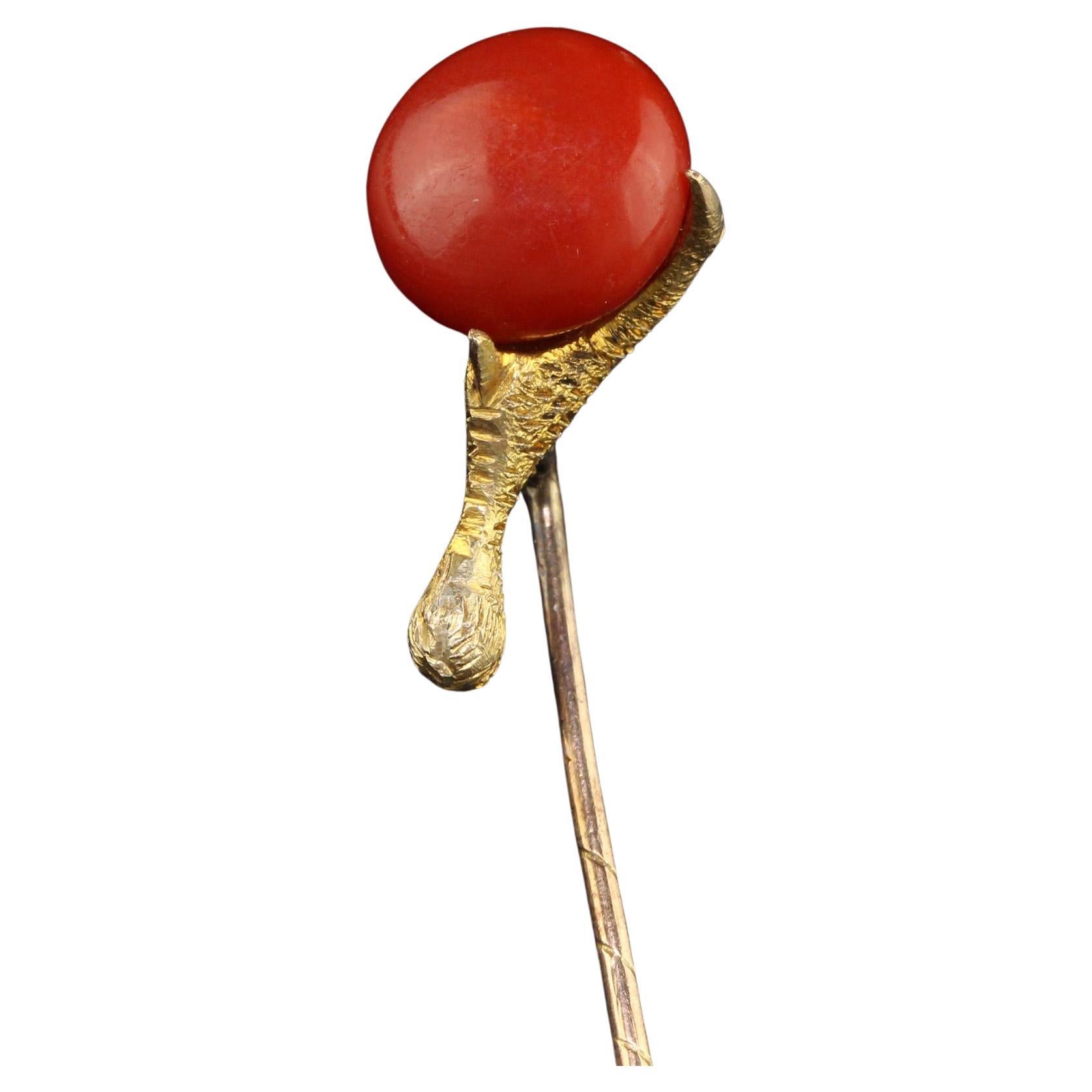 Antique Victorian 14K Yellow Gold Natural Coral Claw Stick Pin For Sale