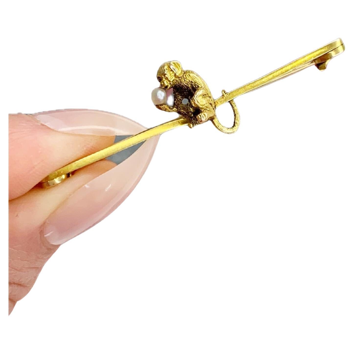 Antique Victorian 15ct Gold Monkey Brooch Holding a Beautiful Natural Seed Pearl For Sale