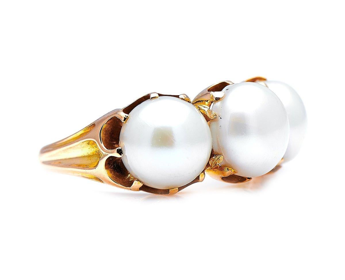 Freshwater pearl ring, late 19th century. Natural pearls are found in a number of different species of molluscs, and while the most famous varieties are found in our oceans, freshwater pearls have also been sourced for centuries in rivers and lakes