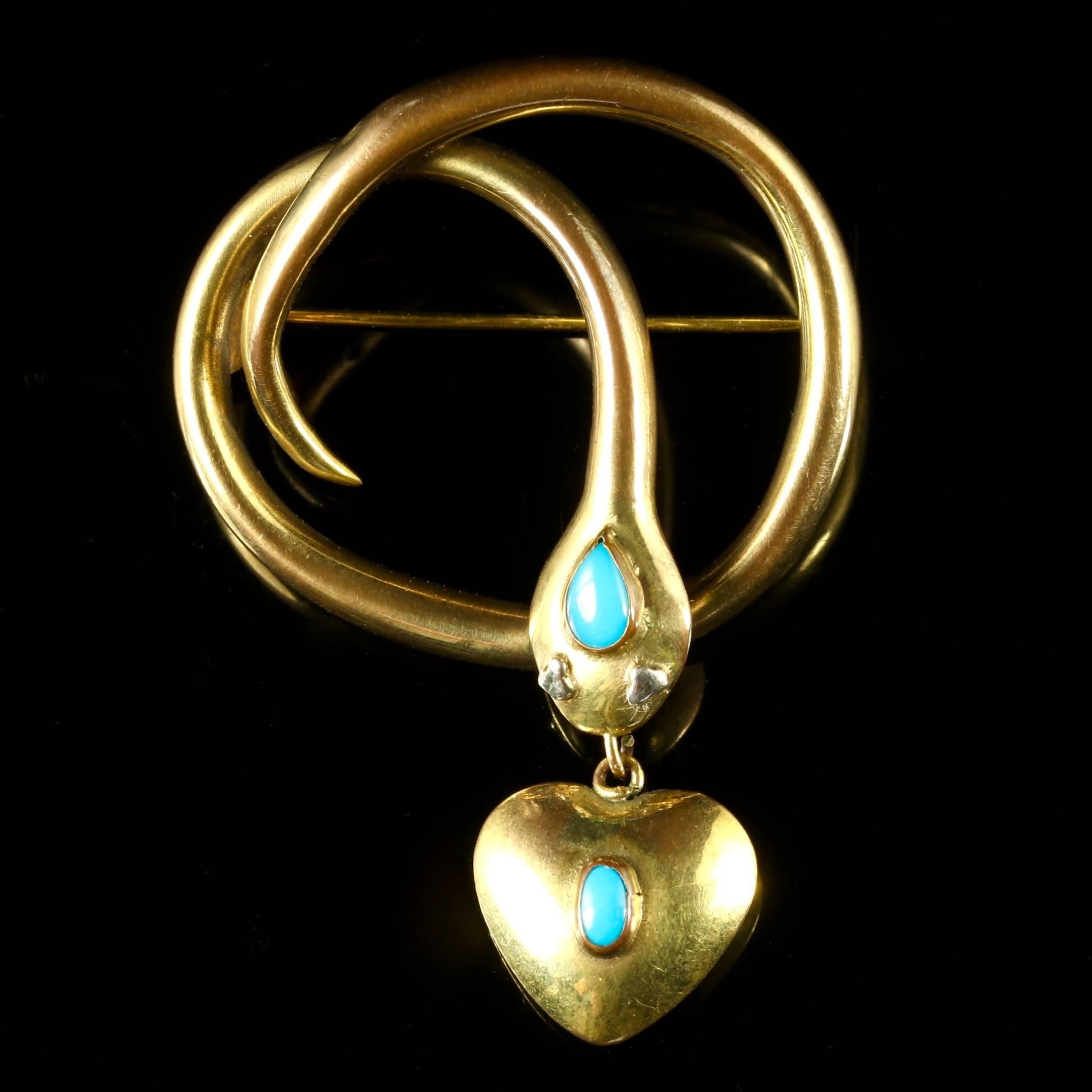 This fabulous antique Victorian 18ct Gold gilded Turquoise snake brooch is Circa 1880.

The wonderful brooch depicts a beautifully gilded snake which is adorned with a Turquoise gemstone which is crowned upon his head and on the heart