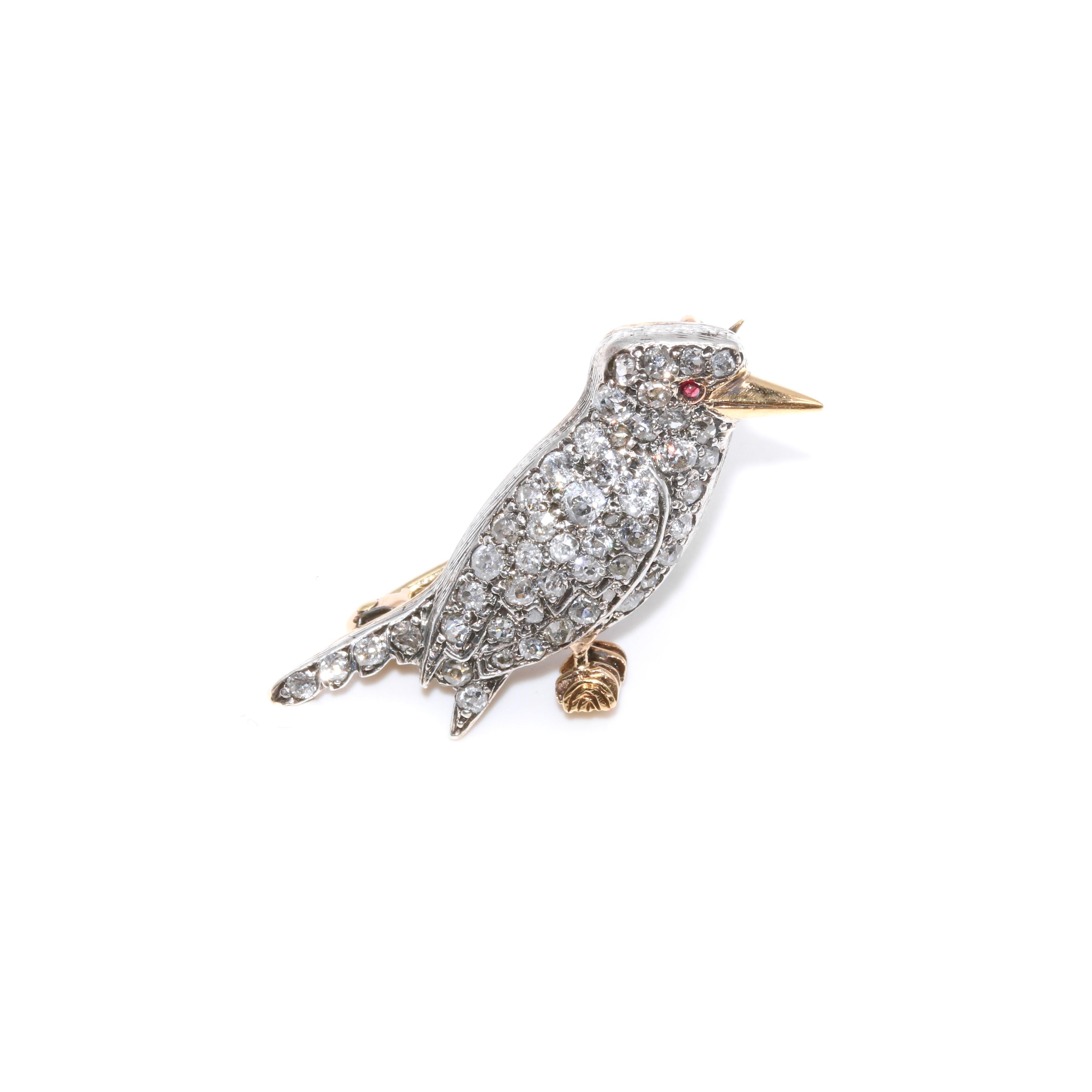 Antica spilla vittoriana in oro e argento 18 carati con diamante e rubino da 1 carato con uccello Kookaburra in vendita 1