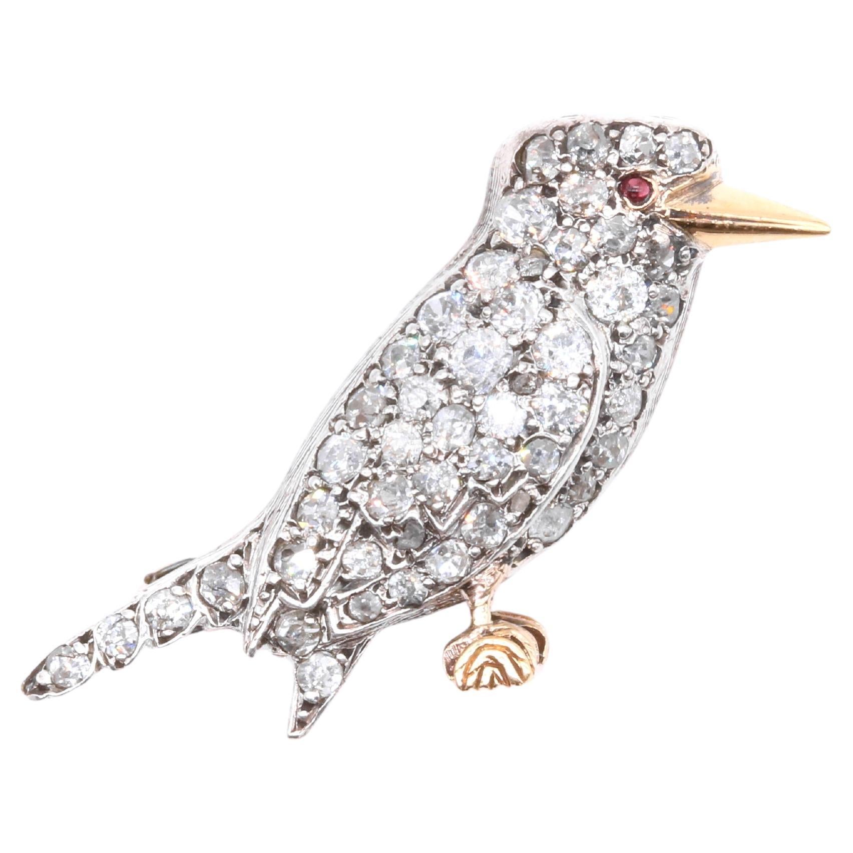 Antique Victorian 18K Gold & Silver 1ctw Diamond & Ruby Kookaburra Bird Brooch For Sale