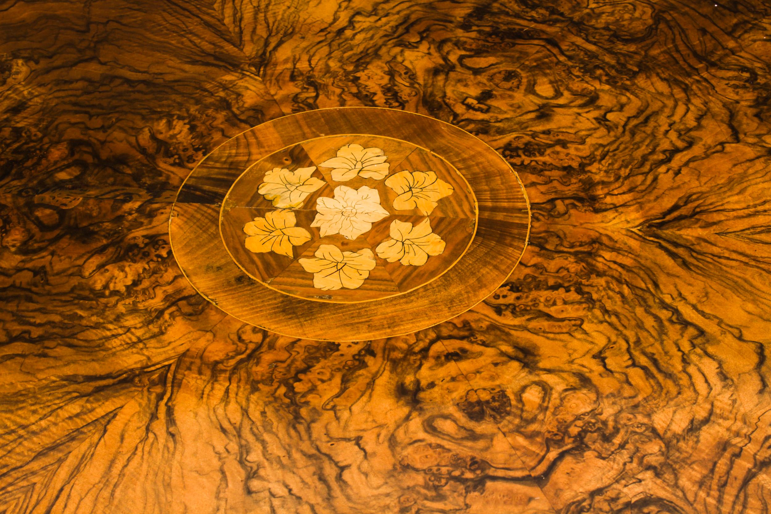 Antique Victorian Burr Walnut Marquetry Centre Loo Table 19th C 3